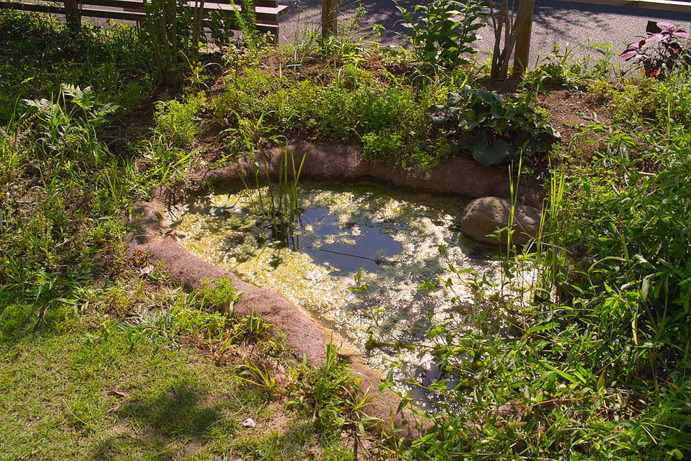 Фотоохота: 69 идей, как оформить пруд на даче