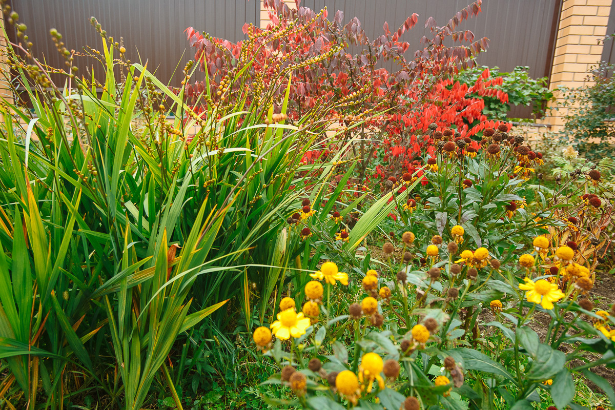 Проект недели: Пестрый сад в Рязанской области