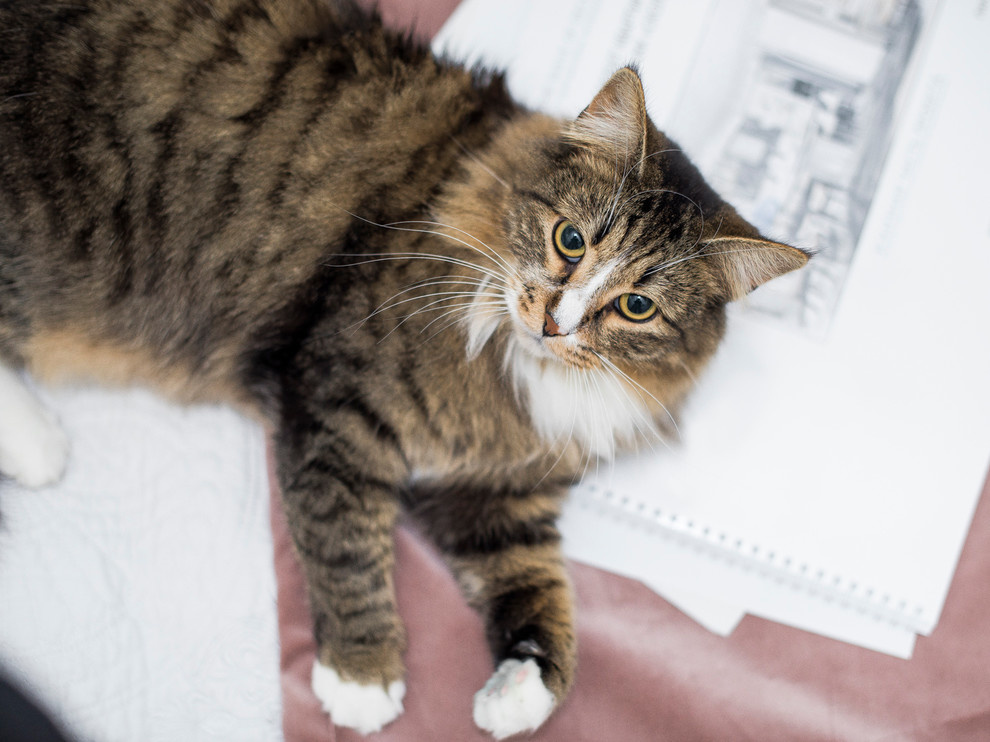 В гостях: Творческий подход декоратора к собственному интерьеру