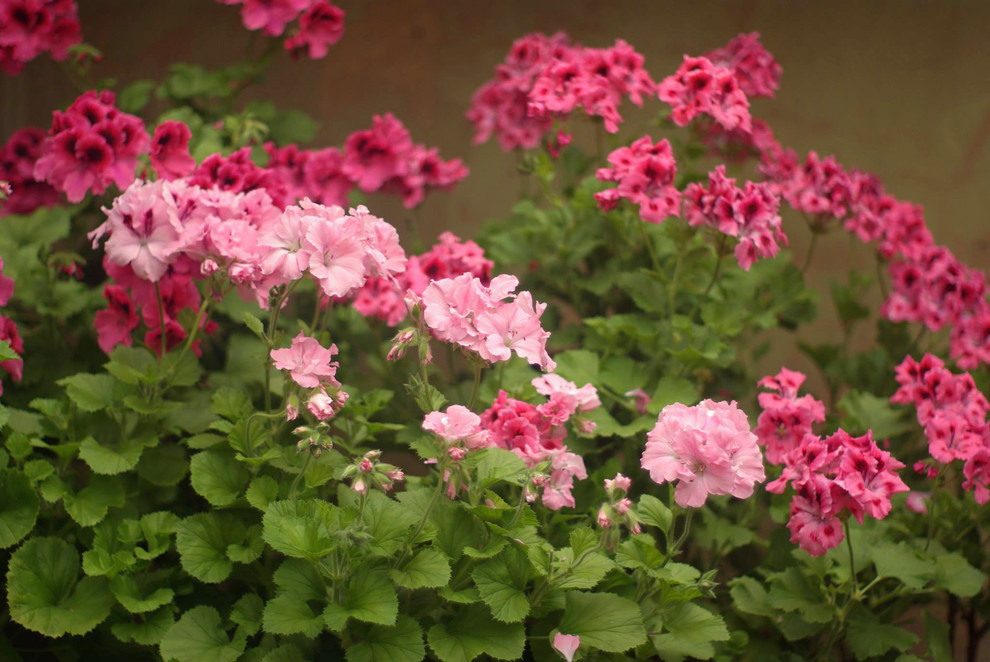 Майский календарь домашних работ: главное, не устать!