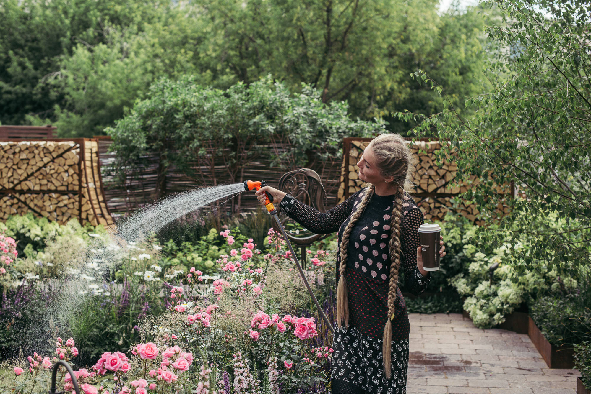 Как правильно: Ухаживать за розами летом