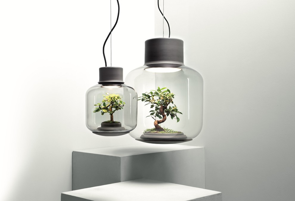 Микротренды: Мода на сад в интерьере. Внезапно иной