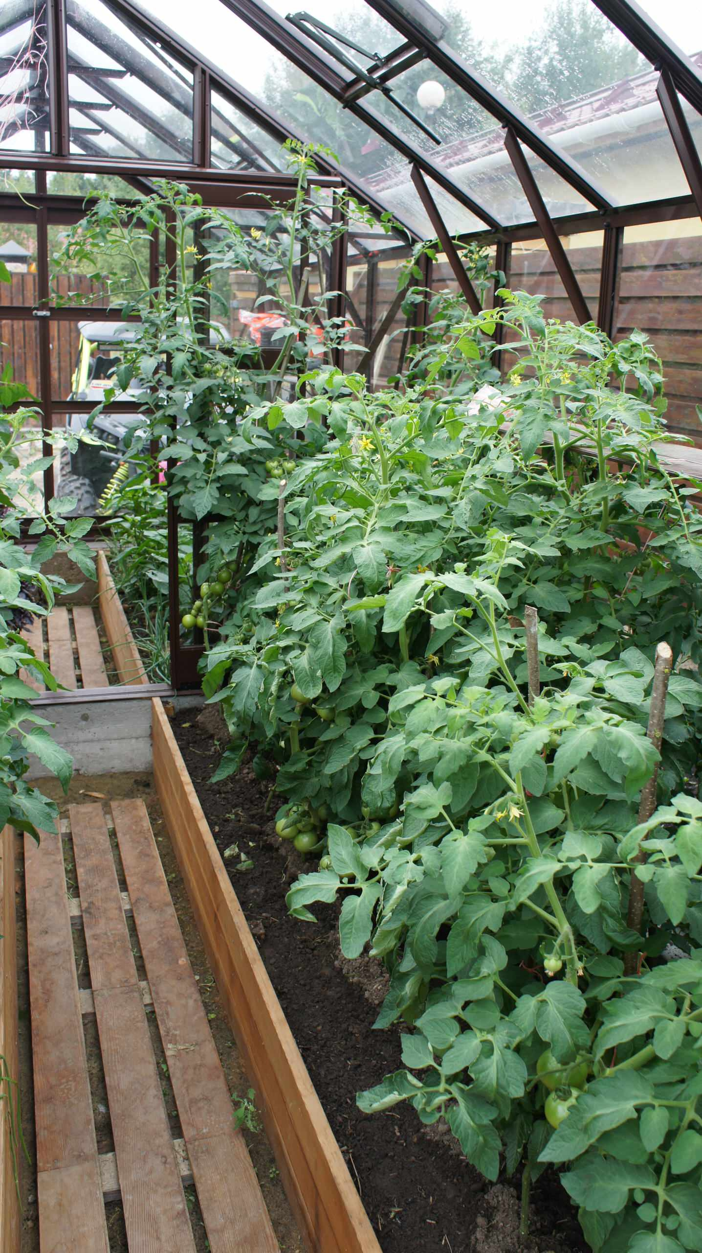 Сад недели: Весна в Подмосковье