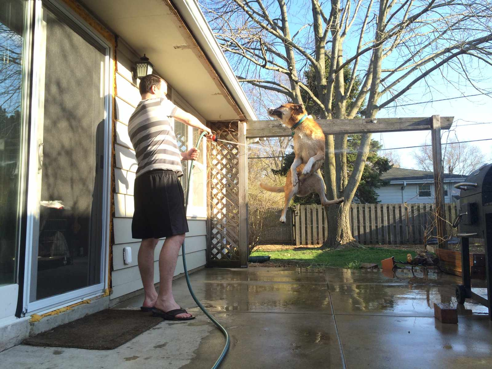 Houzz-call: Покажите нам лето, которое вы видите из окна