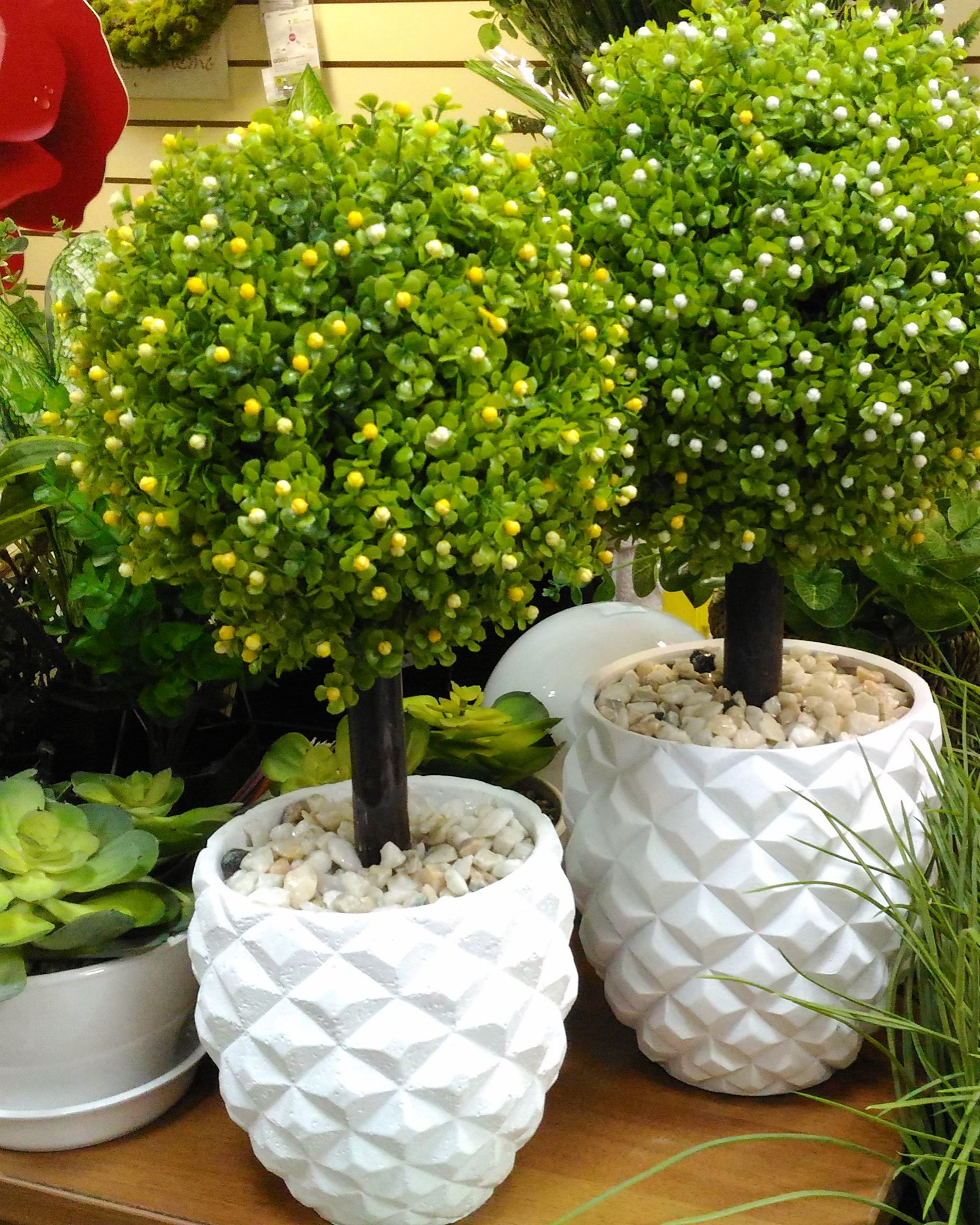 Дизайн-дебаты: Какими растениями украшать жилой интерьер