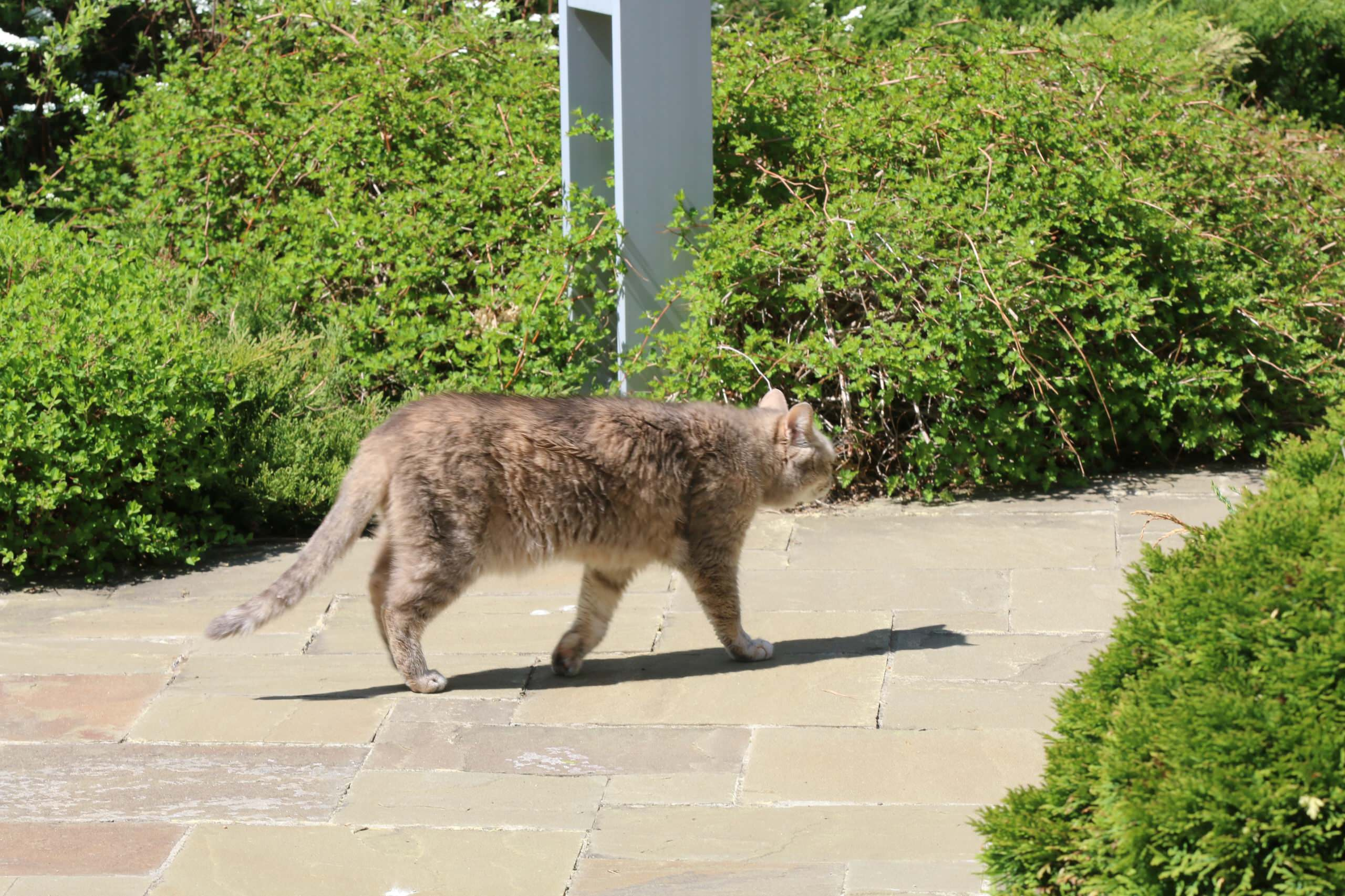 Проект недели: Сад на 12 сотках с солнечными часами