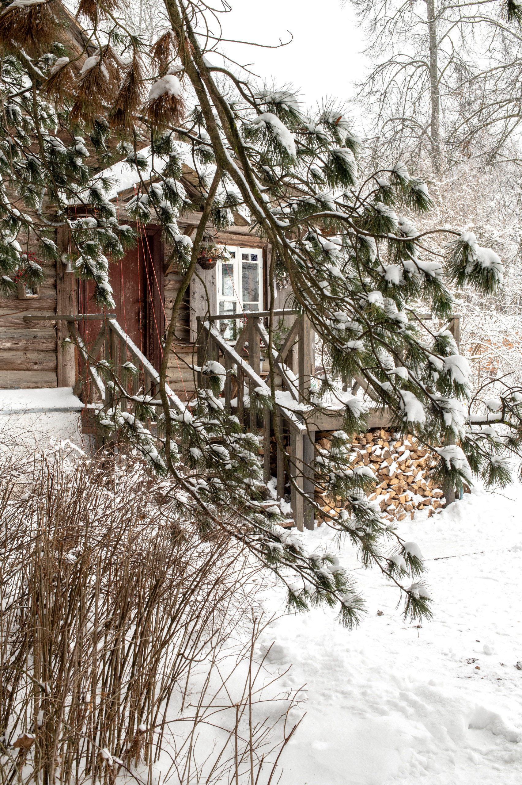 Как украсить дом к Новому году: Пример декоратора Жени Ждановой