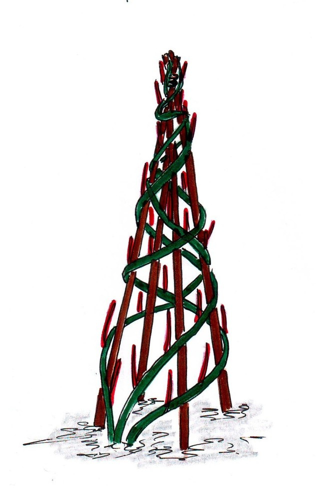 Как правильно: Обрезать садовые розы