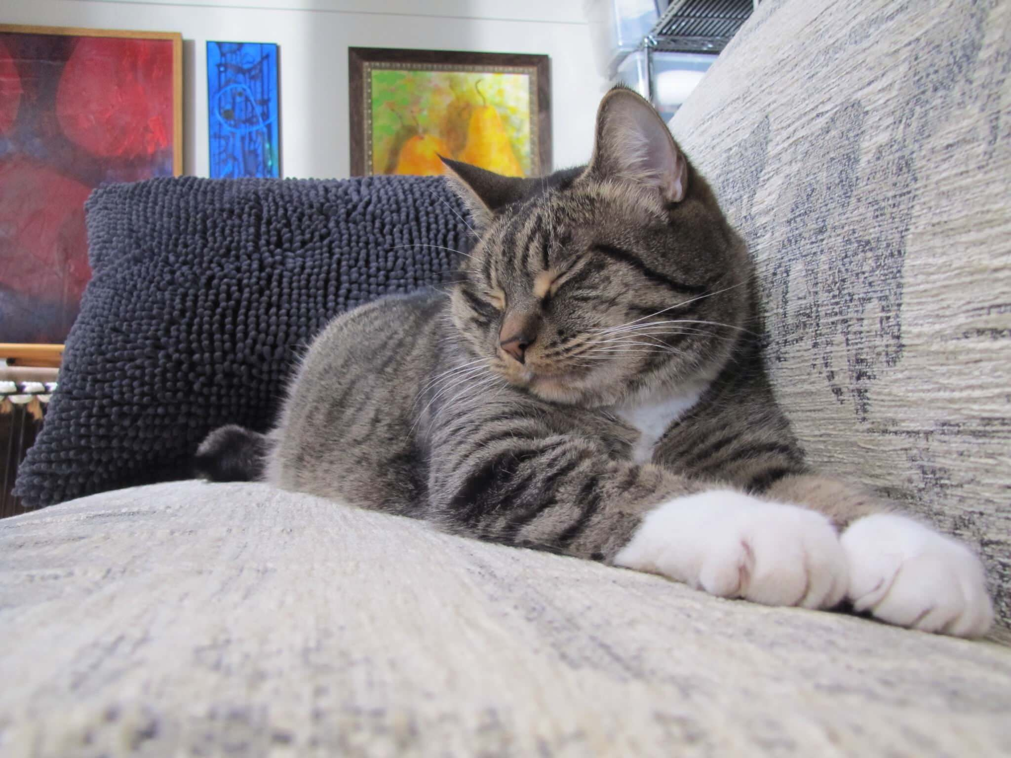 Интерьер на 21-й день: Что останется, когда уйдет вау-эффект