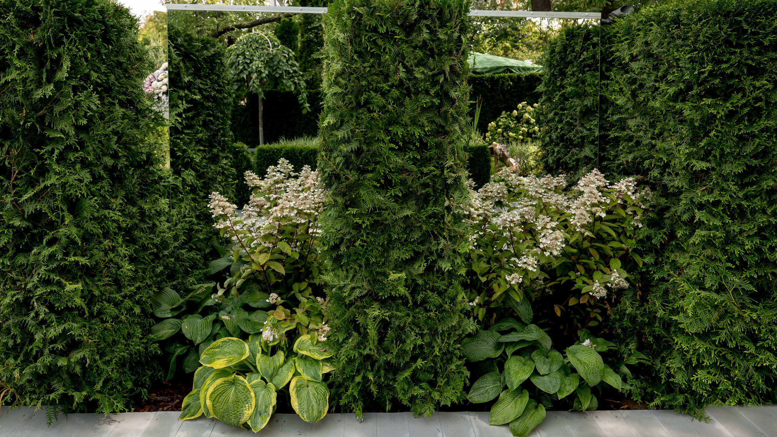 Проект недели: «Тайны соблазнов» — сад для Вячеслава Зайцева