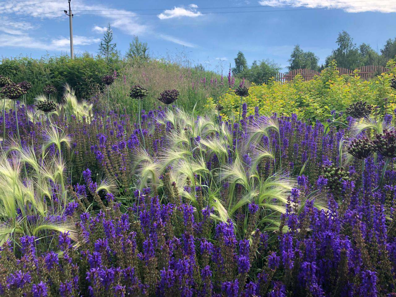 В гостях: Переделка природного сада у каскада прудов