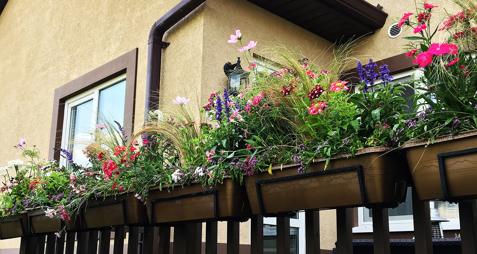 Что-то с чем-то: Как создавать композиции из растений