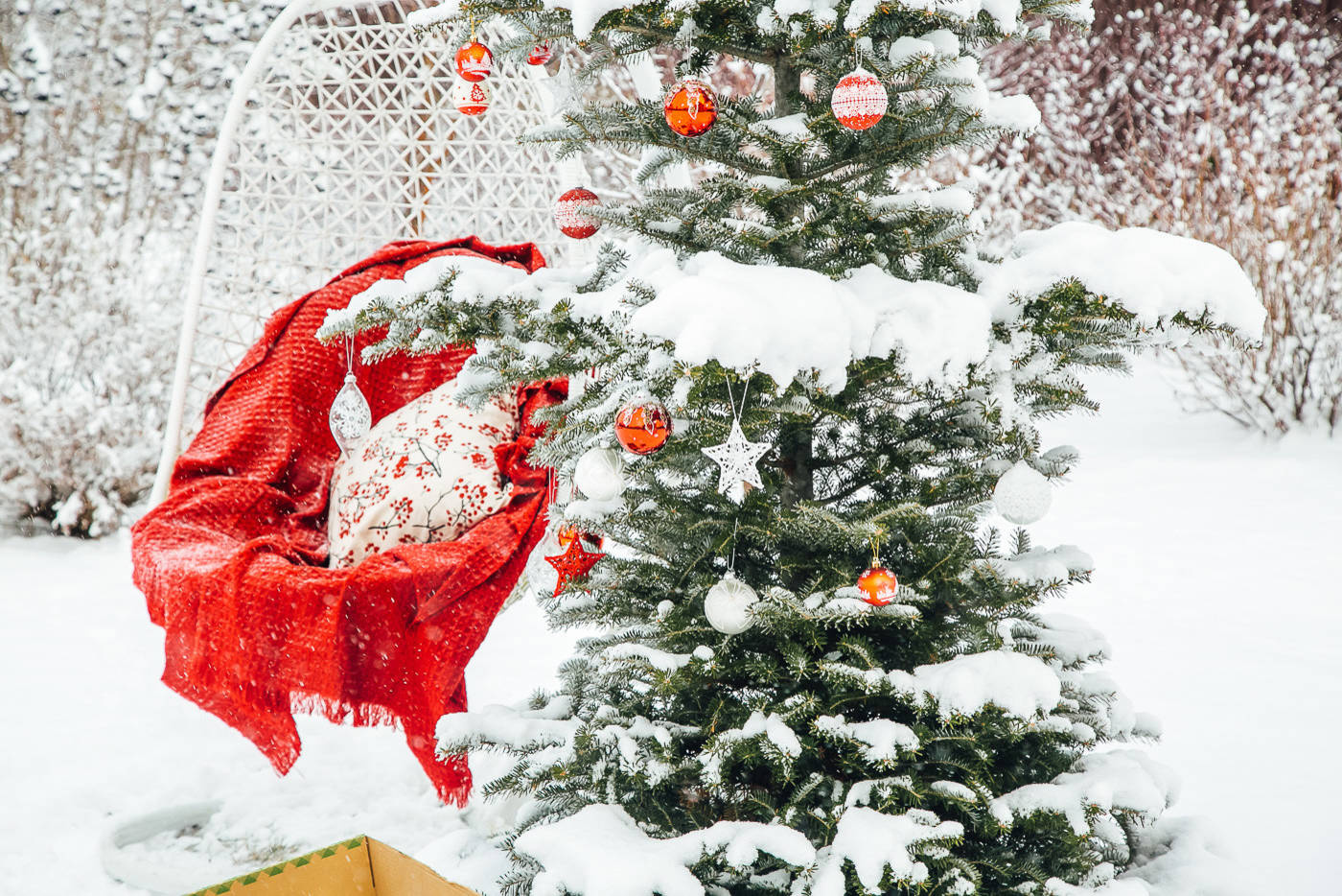 В гостях: Сад под Рязанью в ожидании праздника