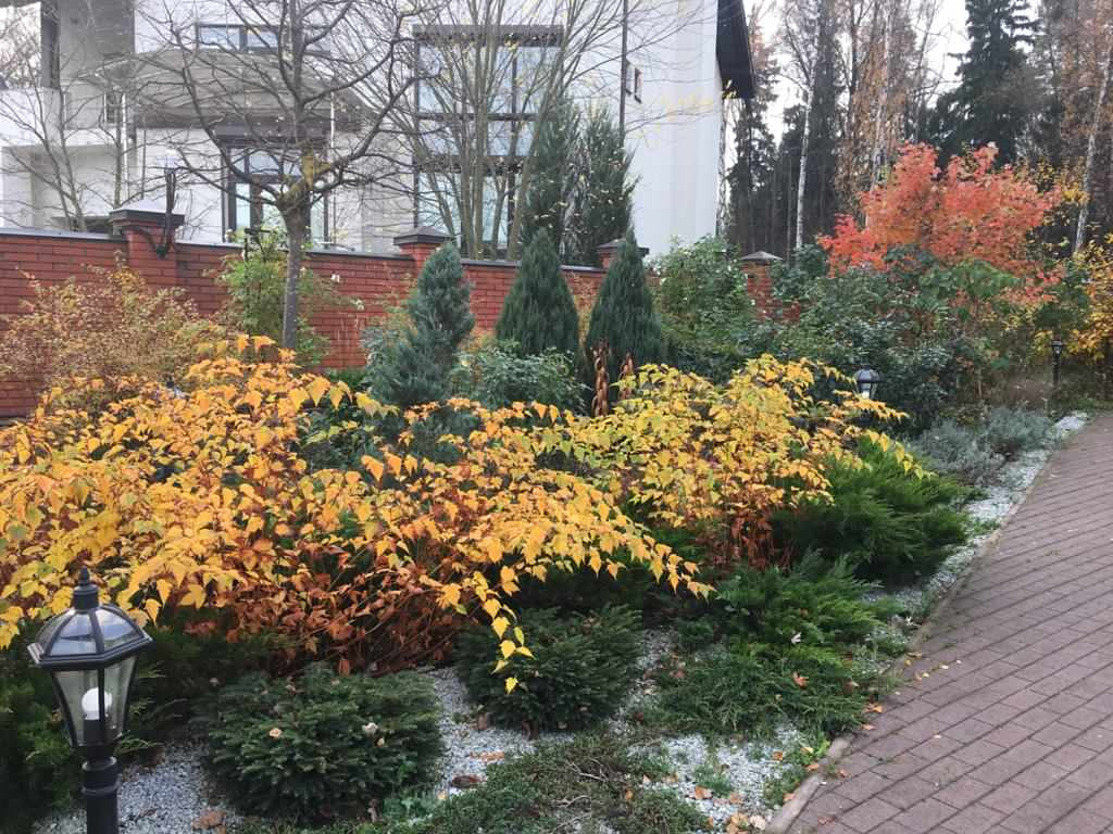 В гостях: Сад на 14 сотках, где живут круглый год