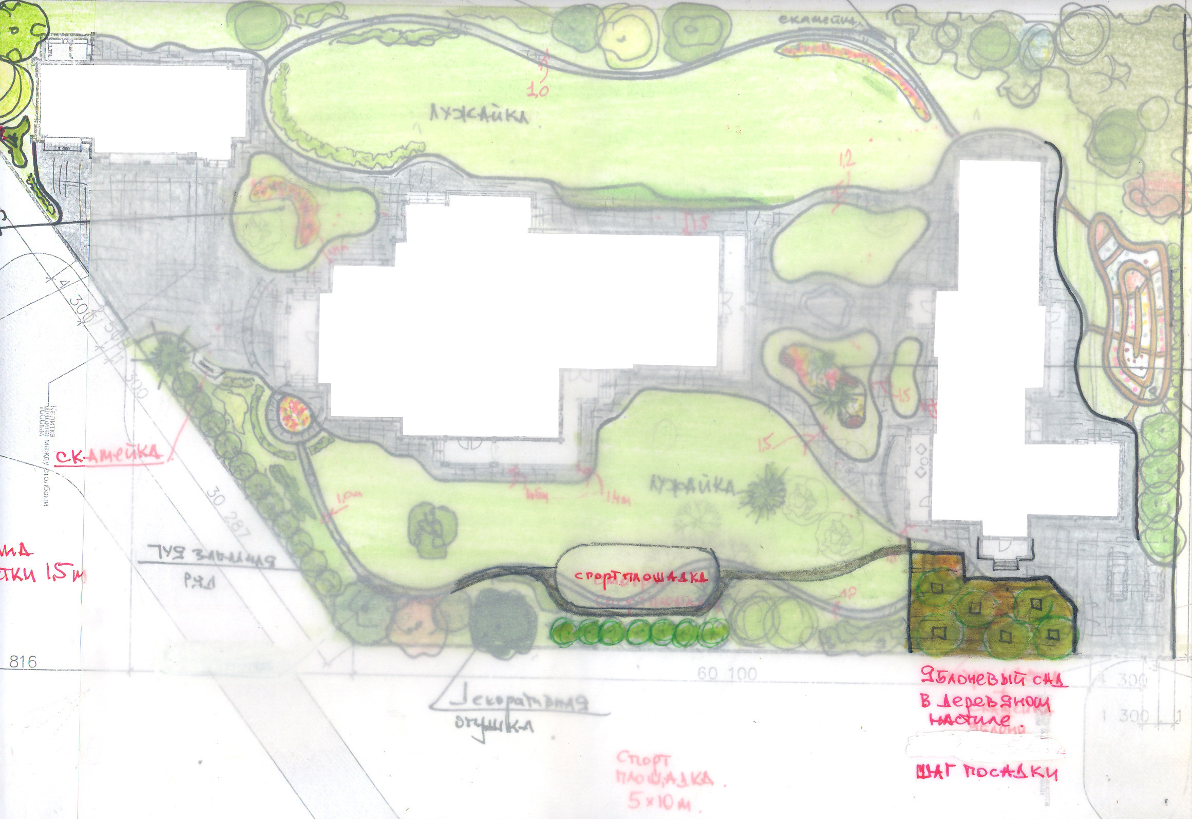 Планировка сада: 3 варианта, финальный генплан + анализ инсоляции