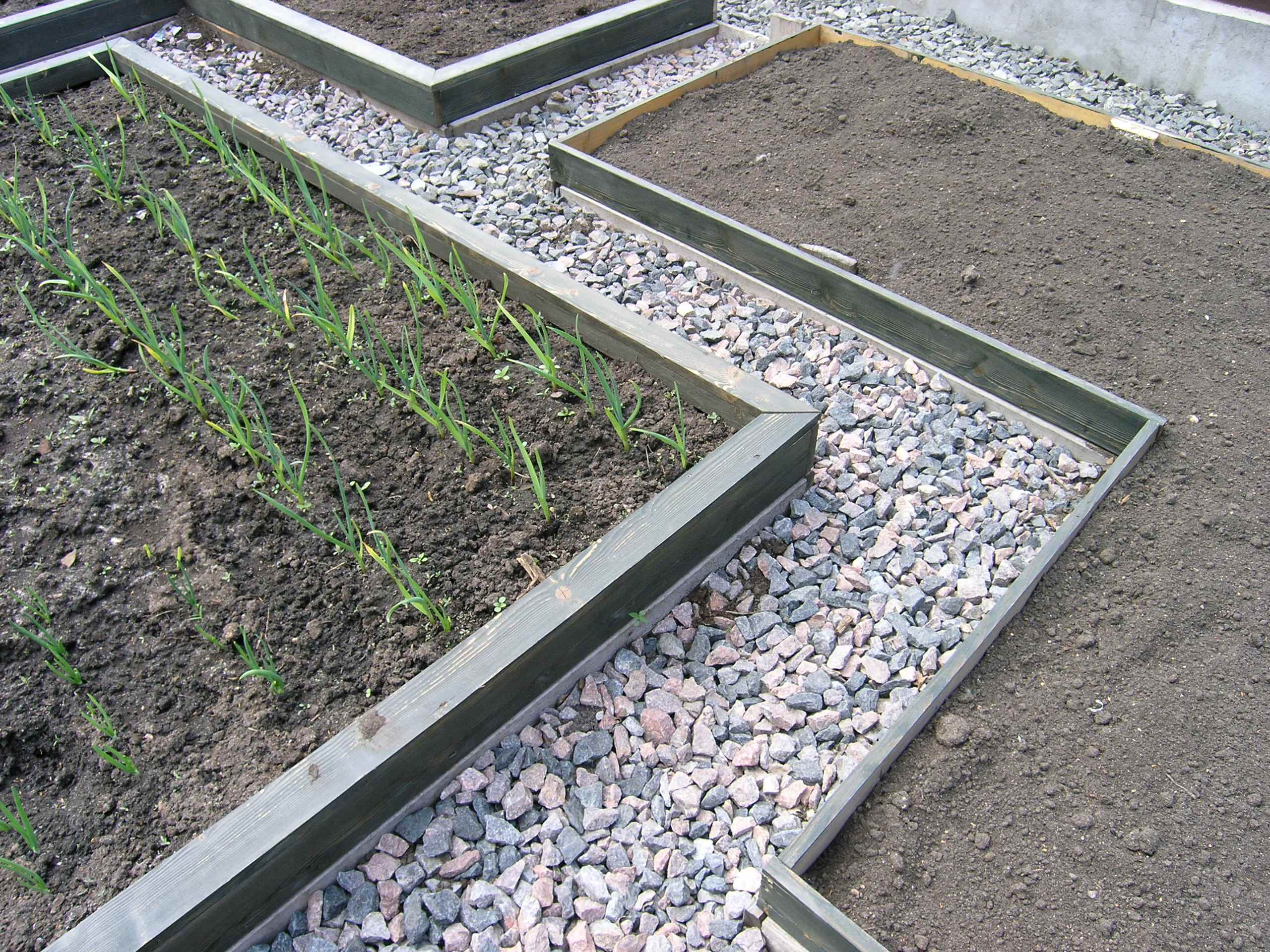 Как правильно: Сделать декоративный огород