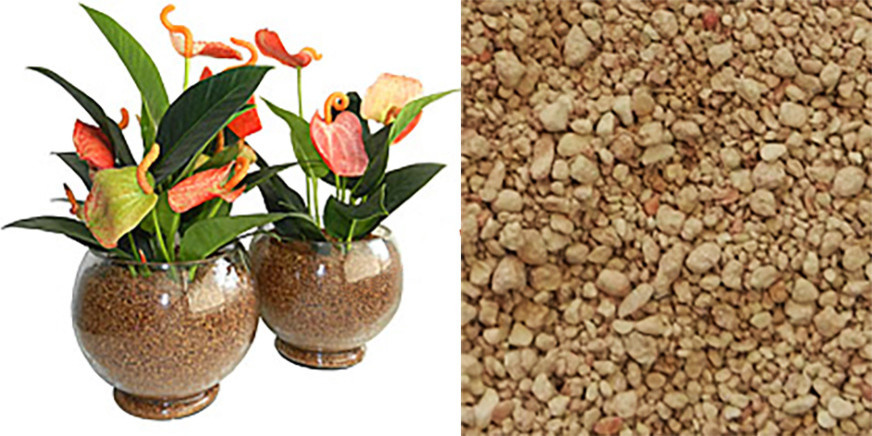 Вопрос: Чем заменить землю для растений в горшках