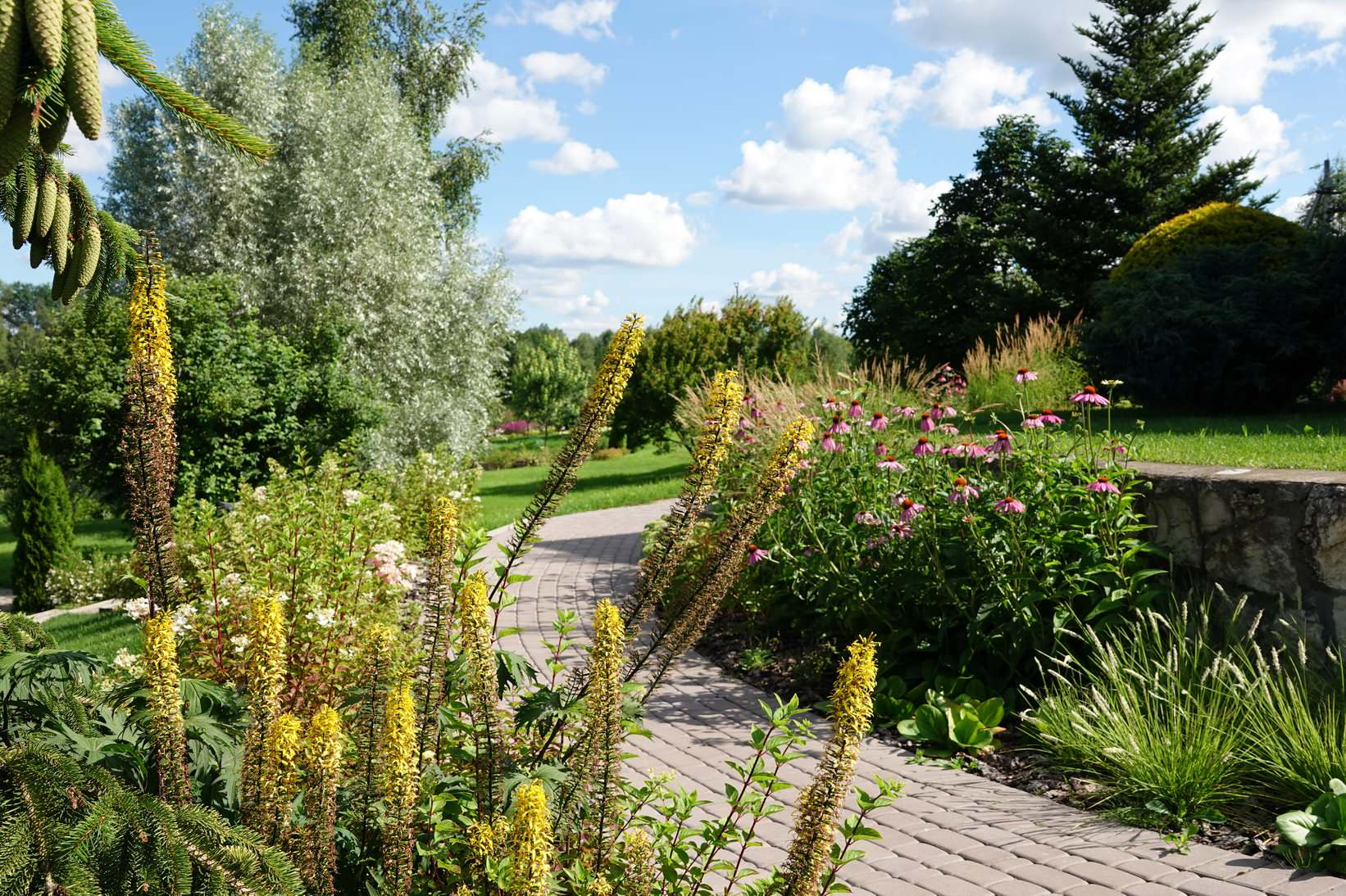 В гостях: Переделка природного сада у каскада прудов