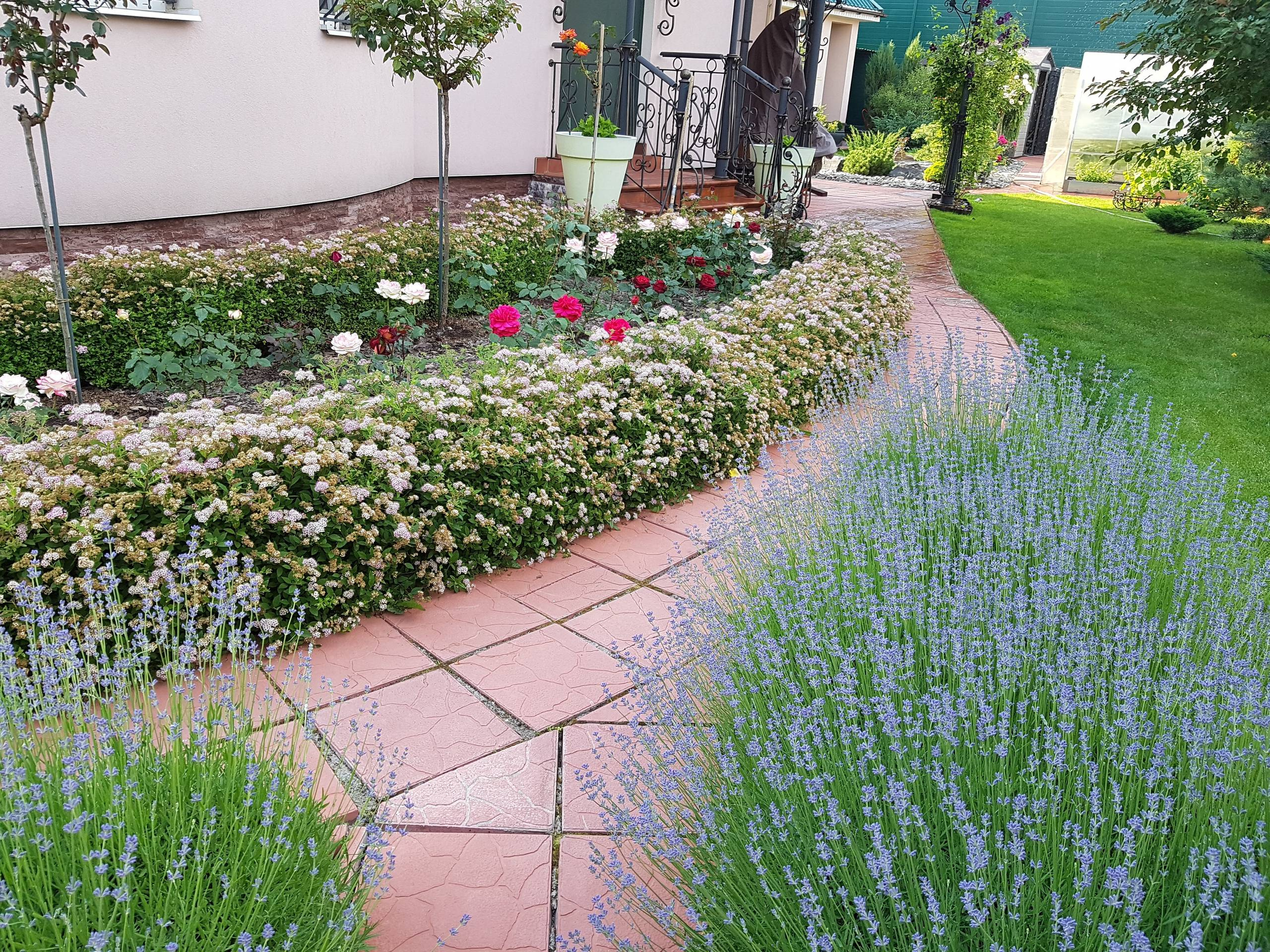 В гостях: Садик в подмосковных Рыбаках — как во Франции