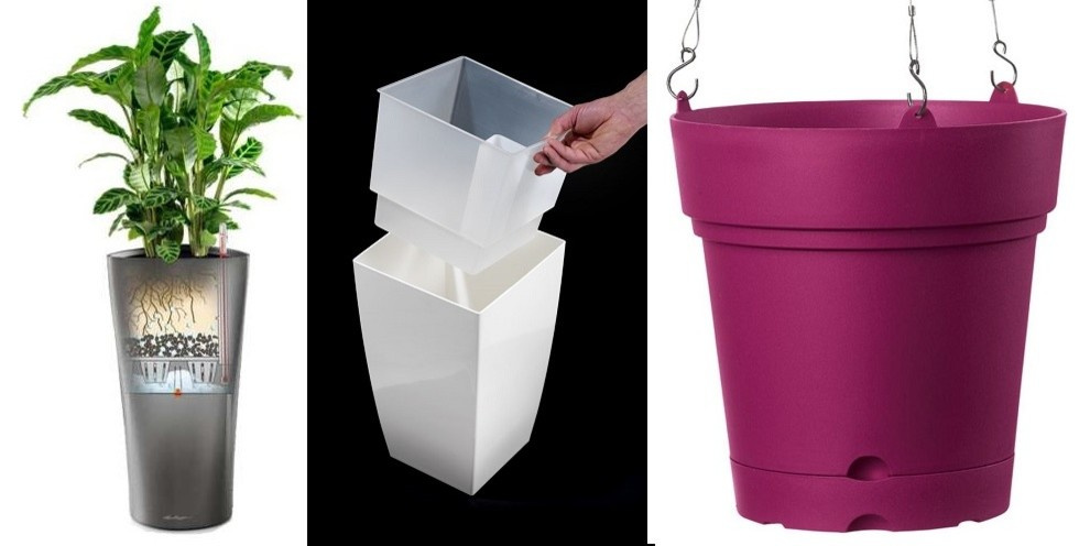 Горшок VS кашпо: Разница не только в дренажном отверстии