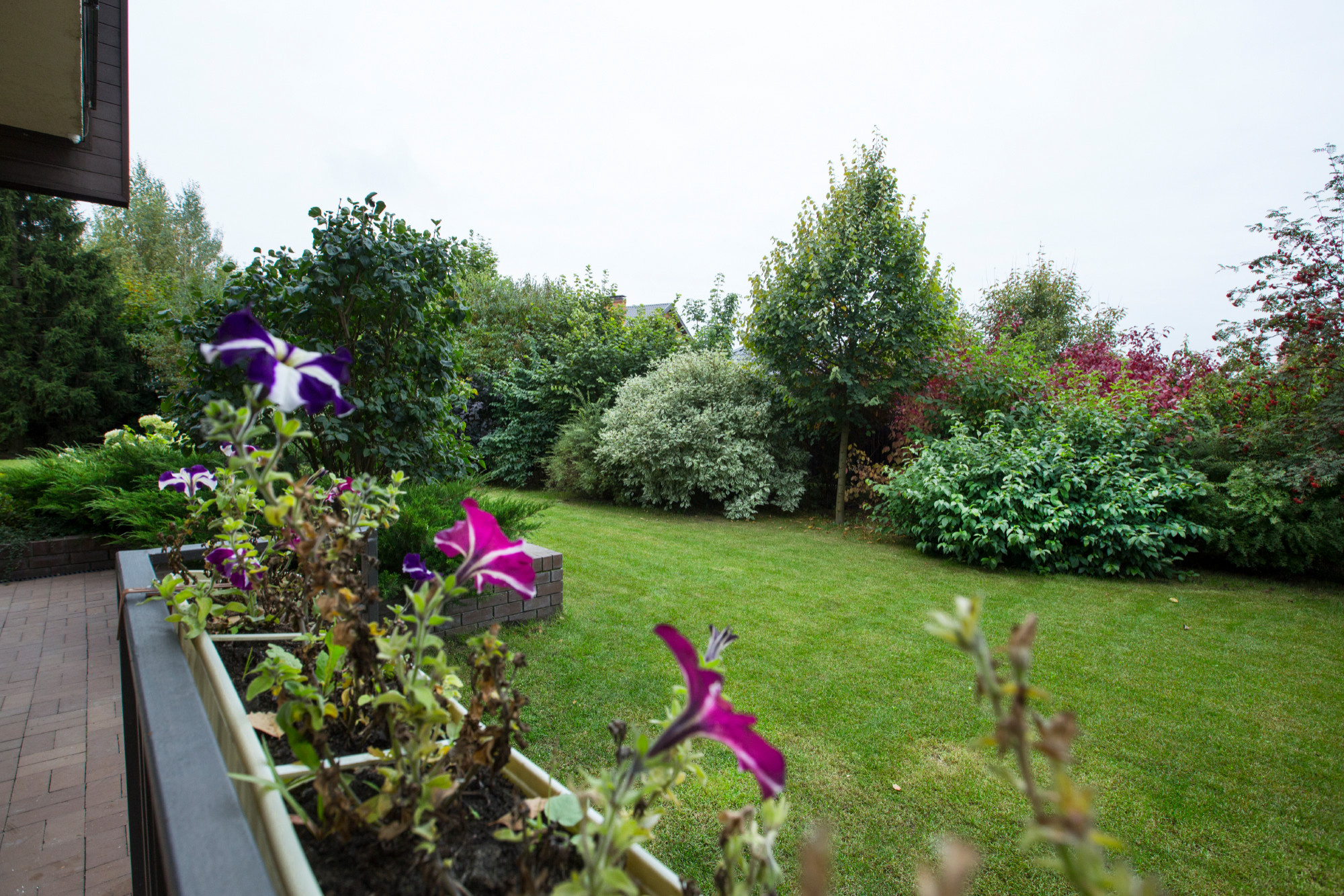 Проект недели: Сад для жизни с растениями на подпорных стенах