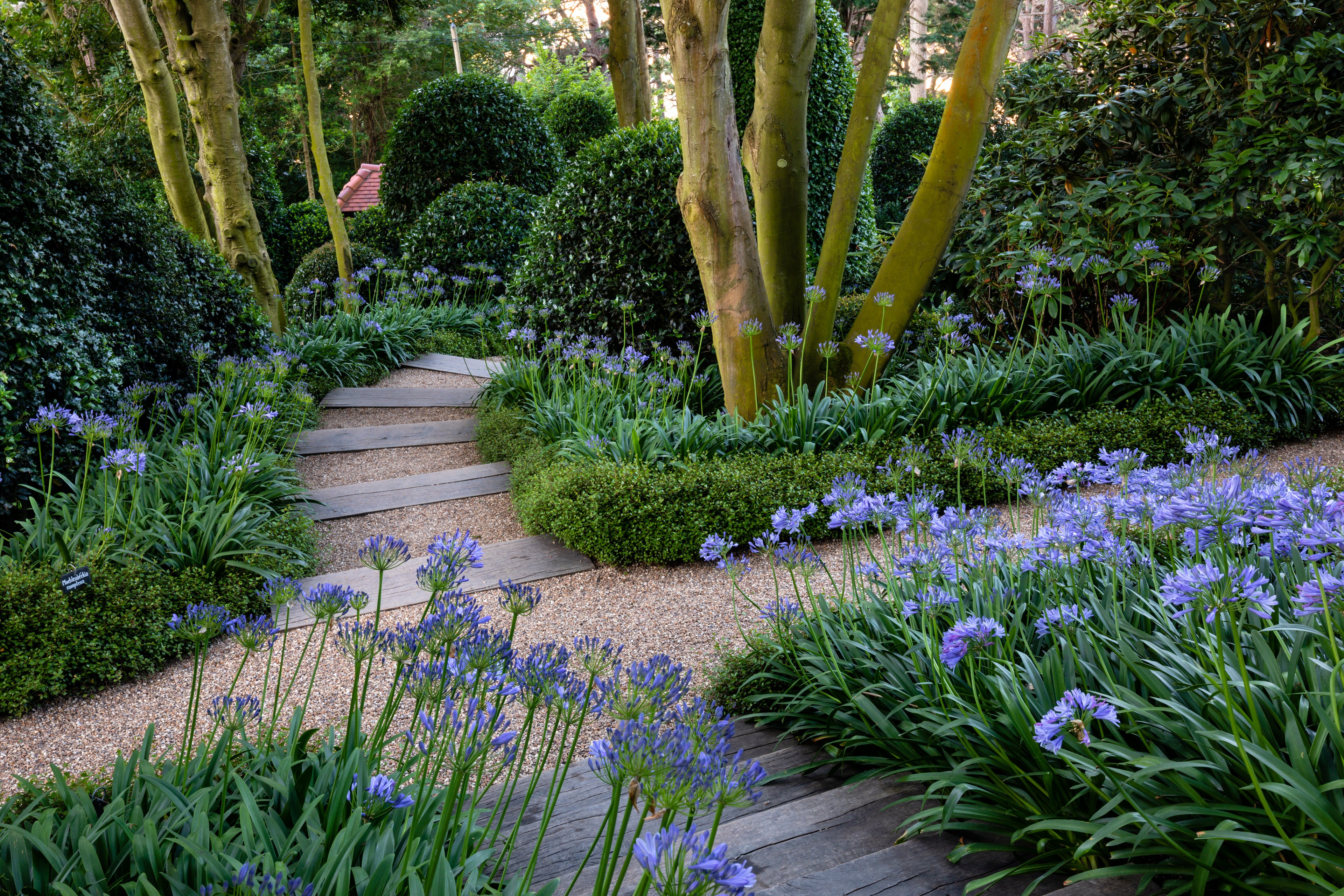 Проект недели: Сад русского дизайнера в нормандском Этретa