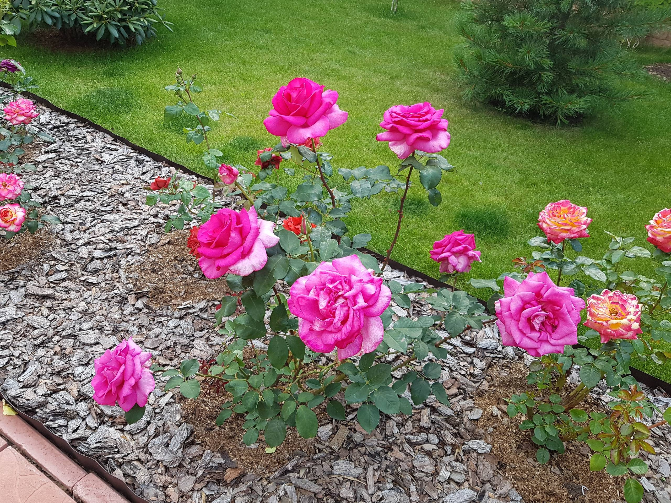 В гостях: Садик в подмосковных Рыбаках — как во Франции