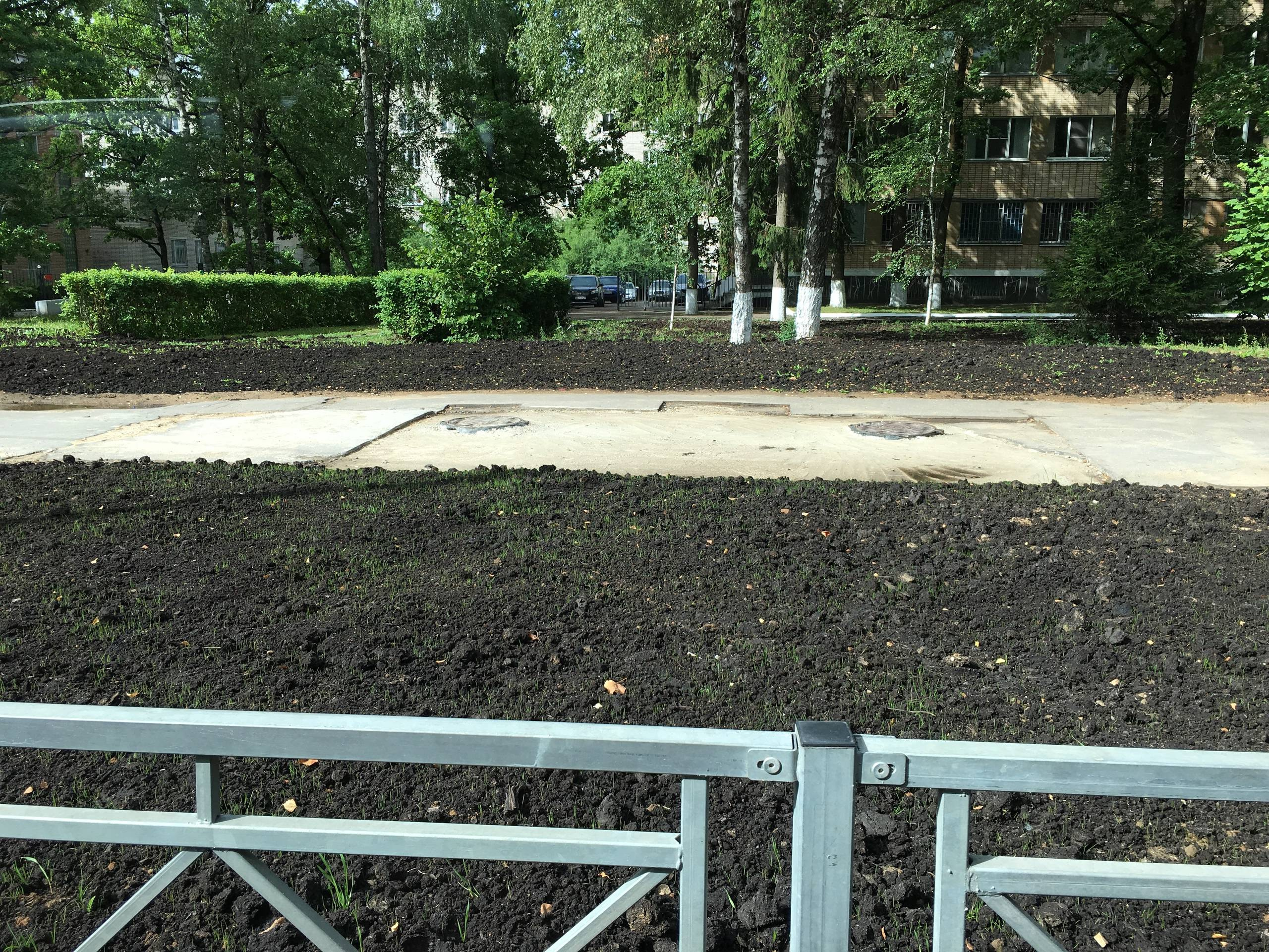 Земельный вопрос: Нужно ли покупать чернозем на участок