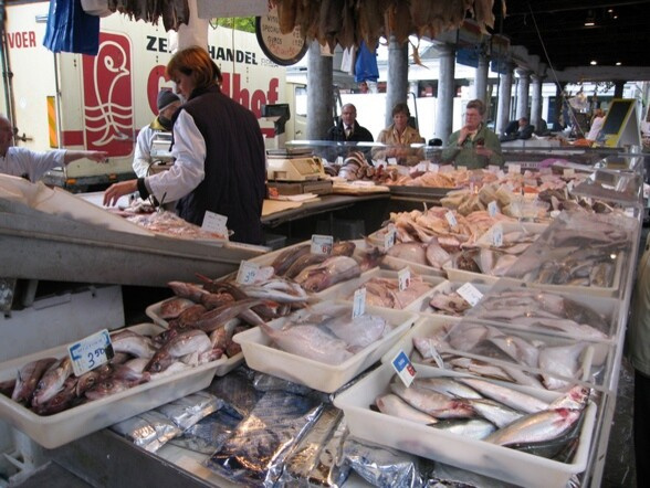 Портрет: Частные экскурсии по лучшим садам мира от центра «Гертруда»