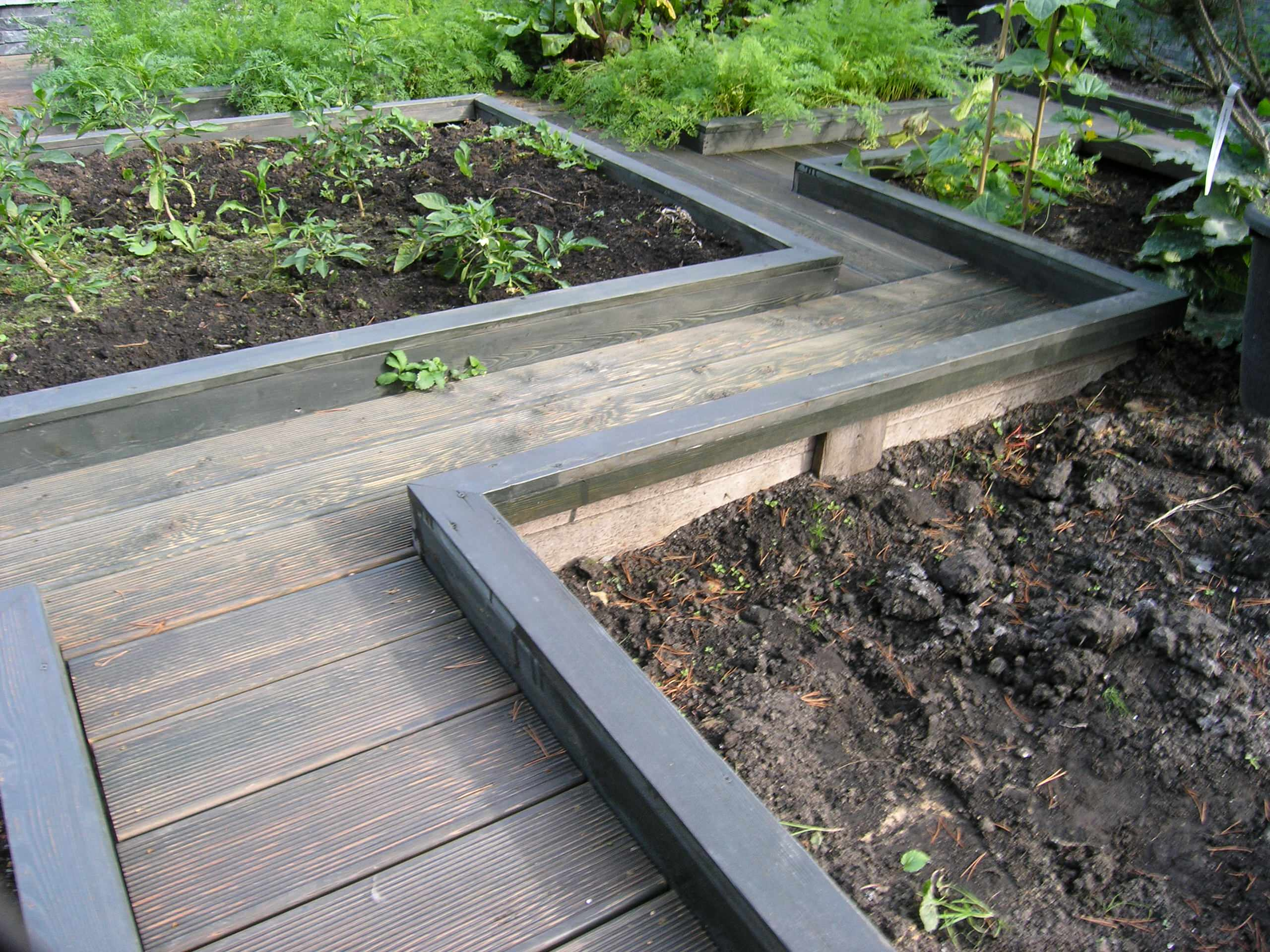 Как правильно: Сделать декоративный огород