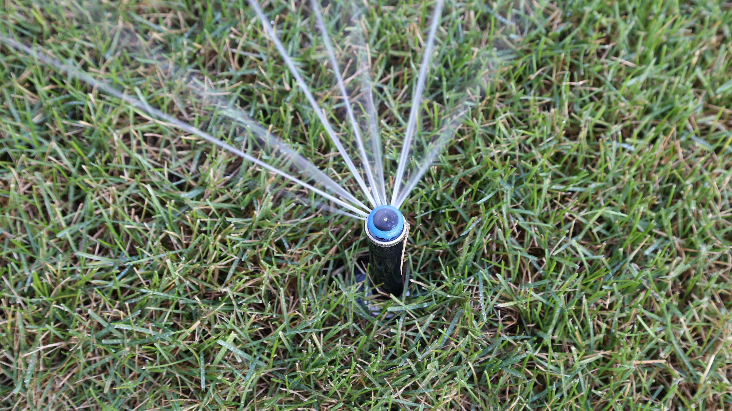 Вопрос: Как сделать автополив на участке