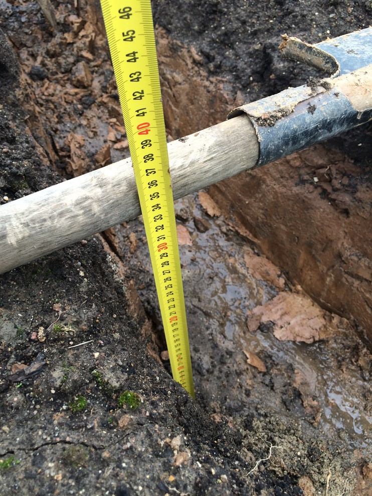 Level Up: Создаем сад после недавней постройки дома