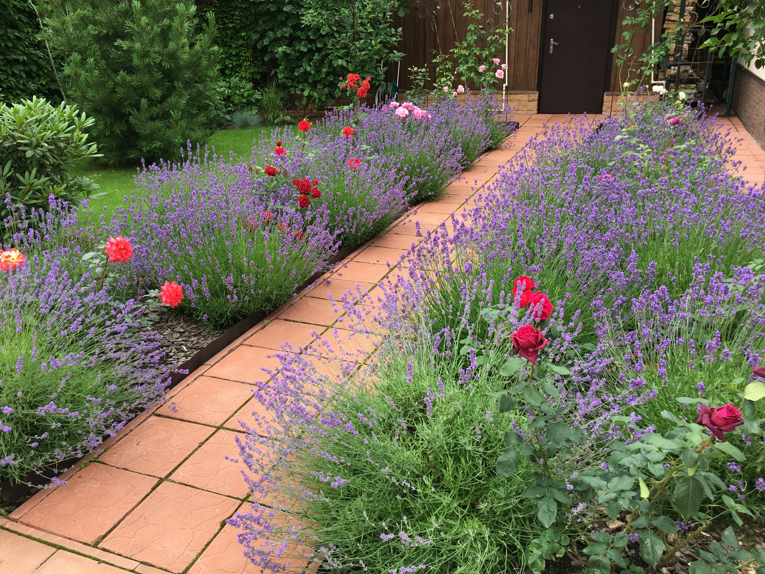 В гостях: Садик в подмосковных Рыбаках — как во Франции