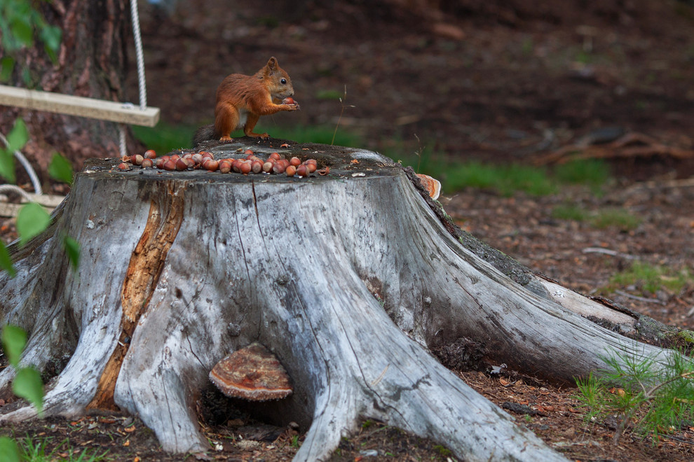 Вопрос: Как пережить сезонную депрессию за городом