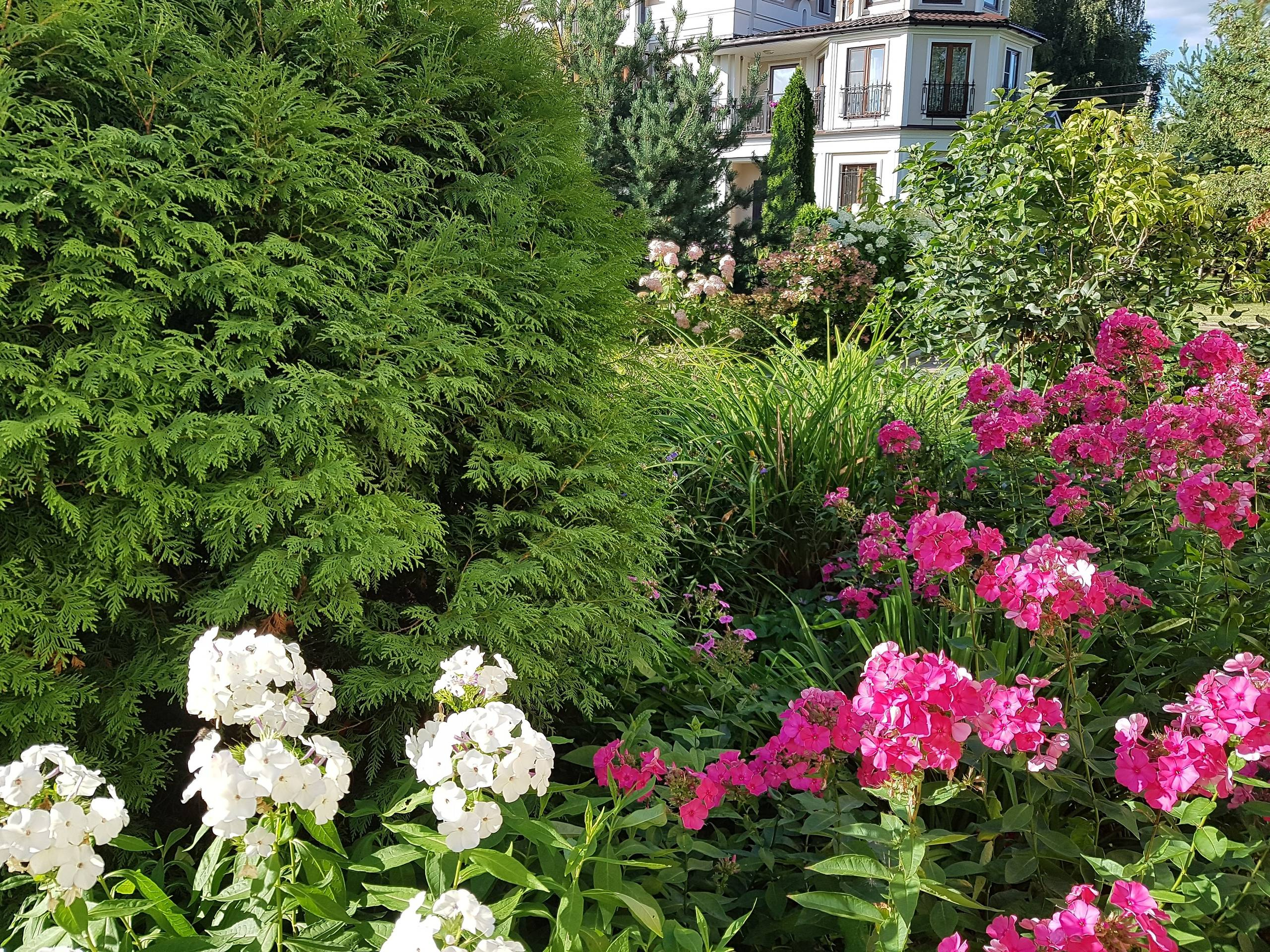 Проект недели: «Итальянский» сад с расписной лоджией при гараже