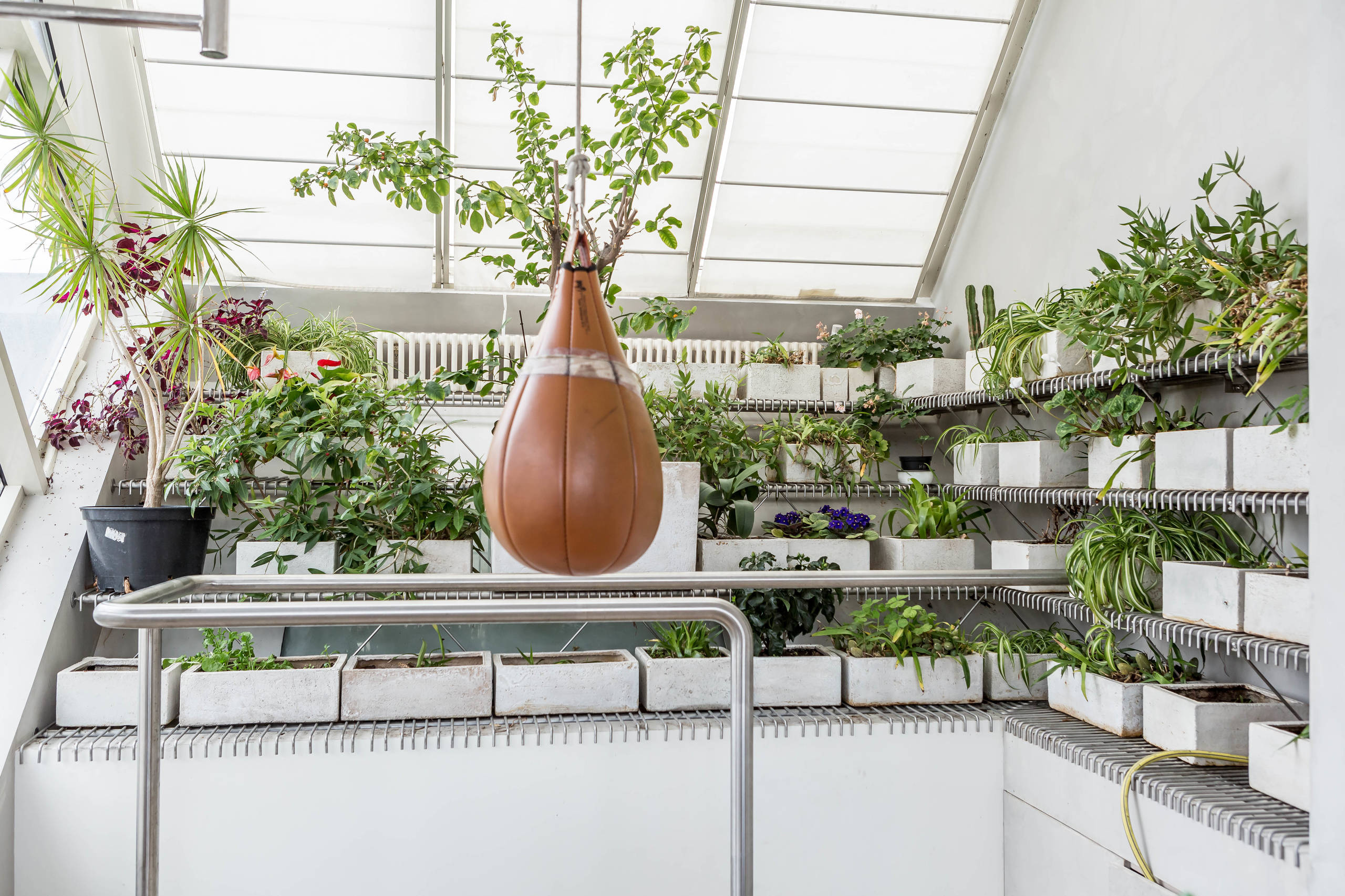 В гостях: Три уровня минимализма на Пречистенке