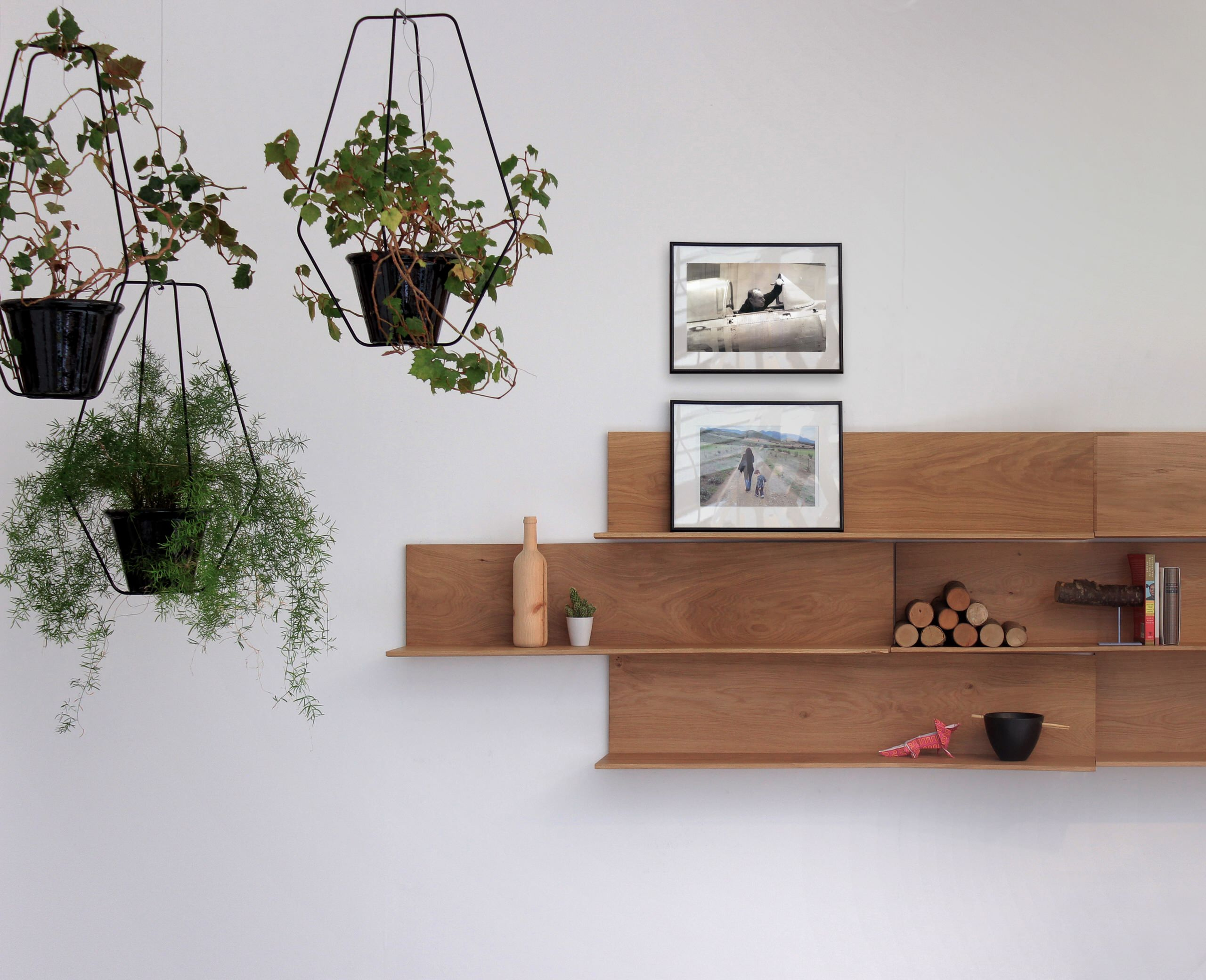 Дизайн-дебаты: Какими растениями украшать жилой интерьер