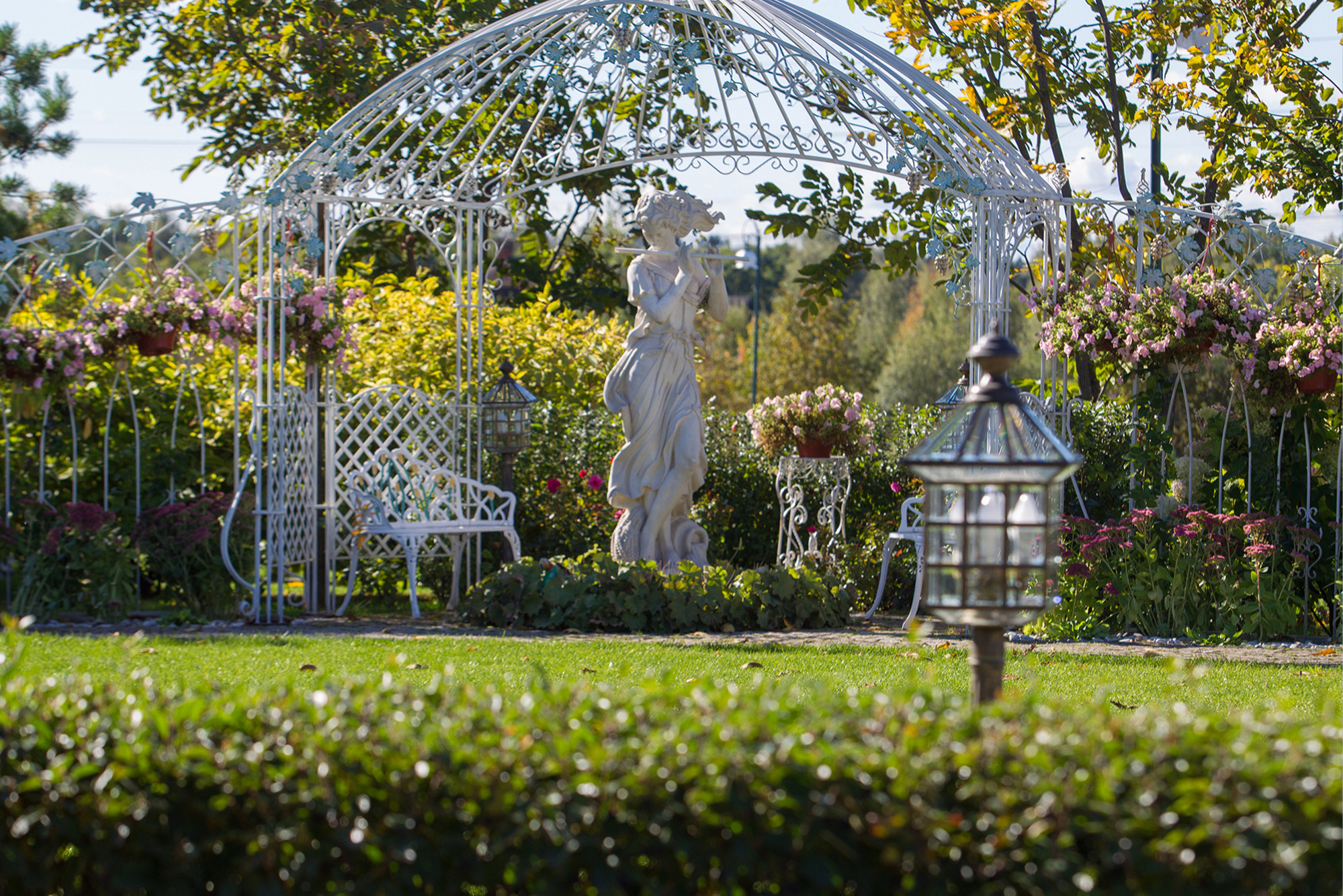 В гостях: Подмосковный сад со средиземноморским характером