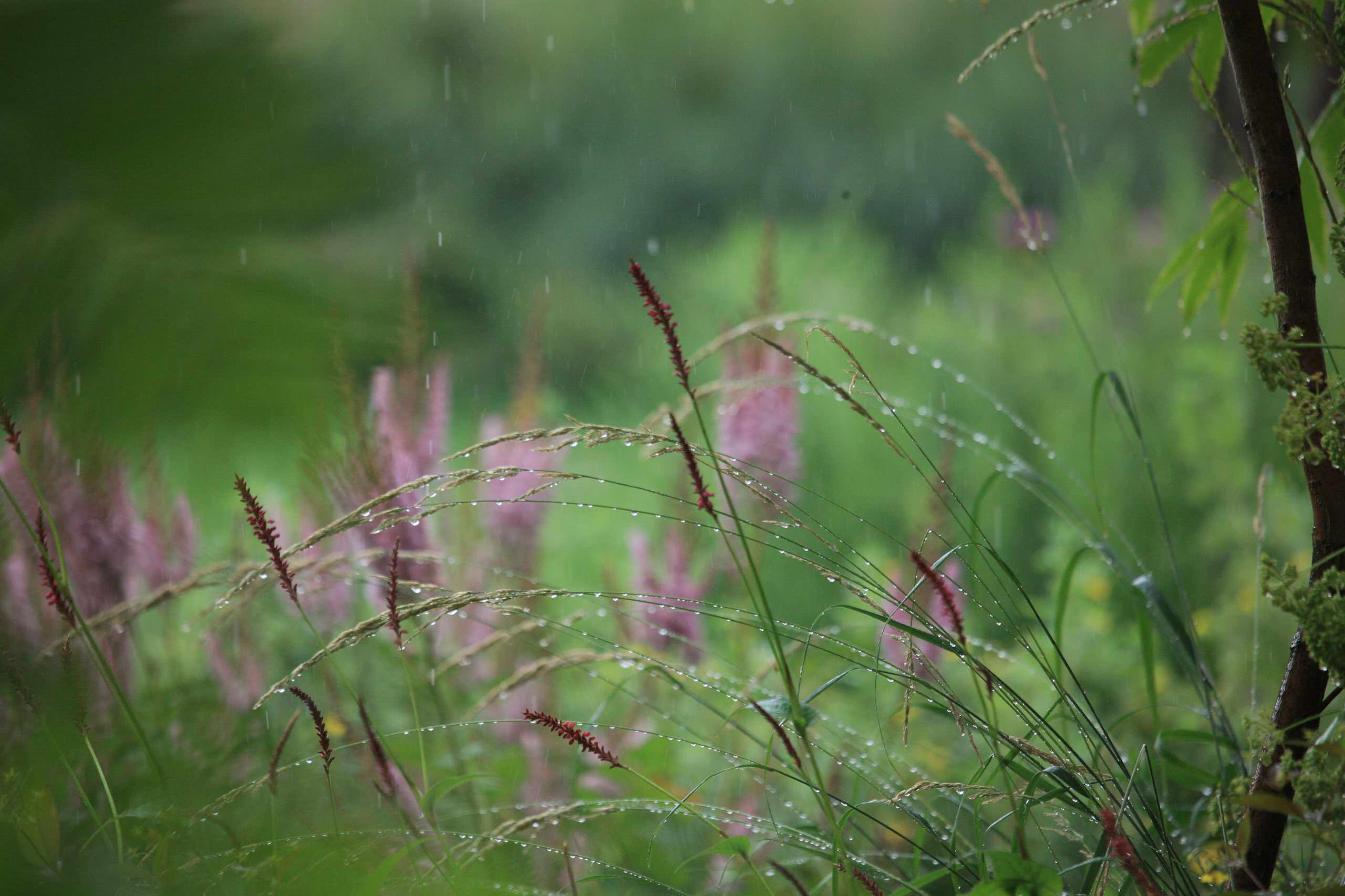 Портрет: Частные экскурсии по лучшим садам мира от центра «Гертруда»