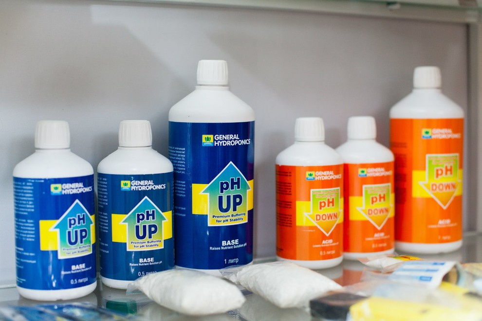 Зачем вам: Капельный полив на участке