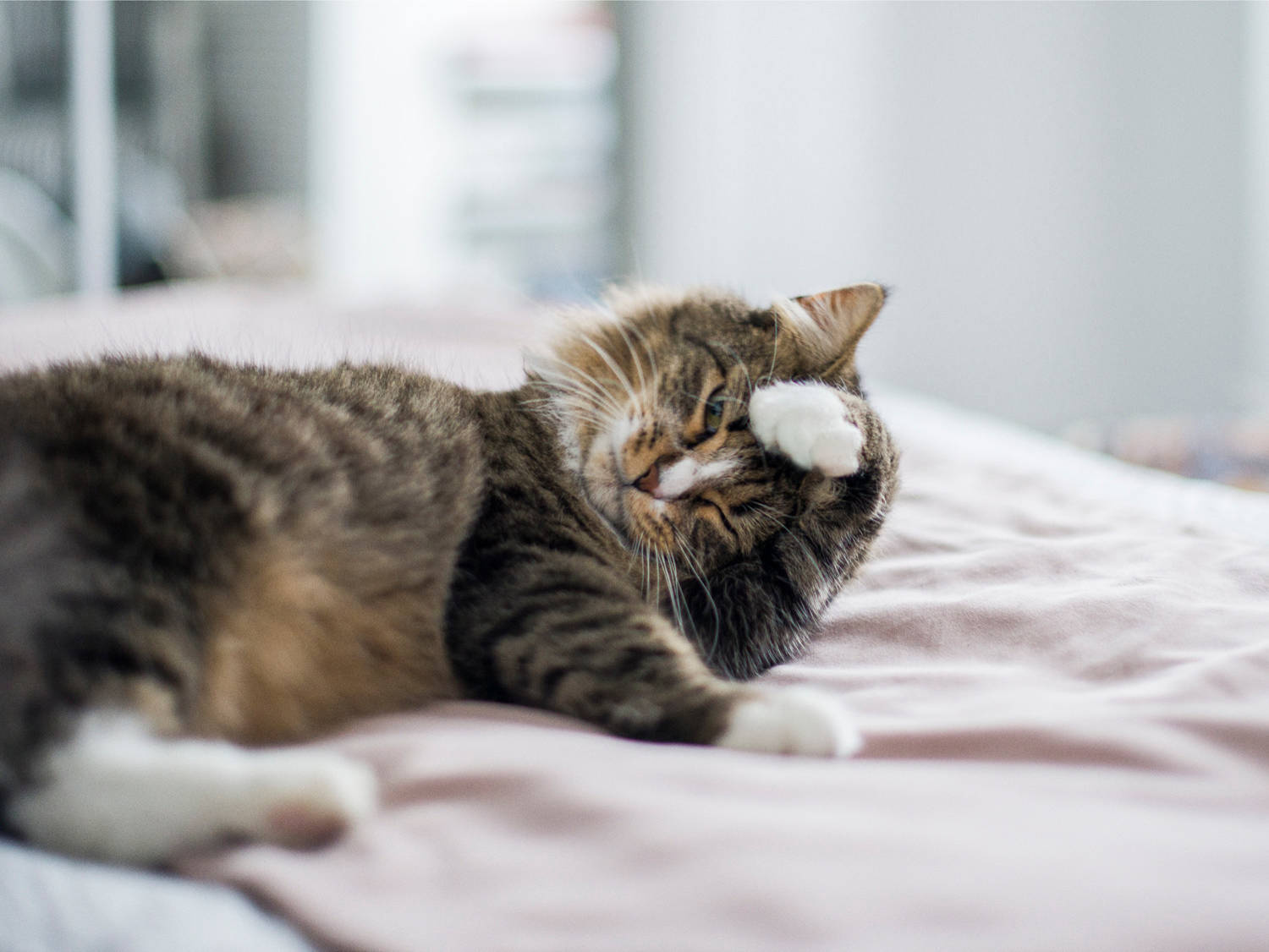 В гостях: Творческий подход декоратора к собственному интерьеру