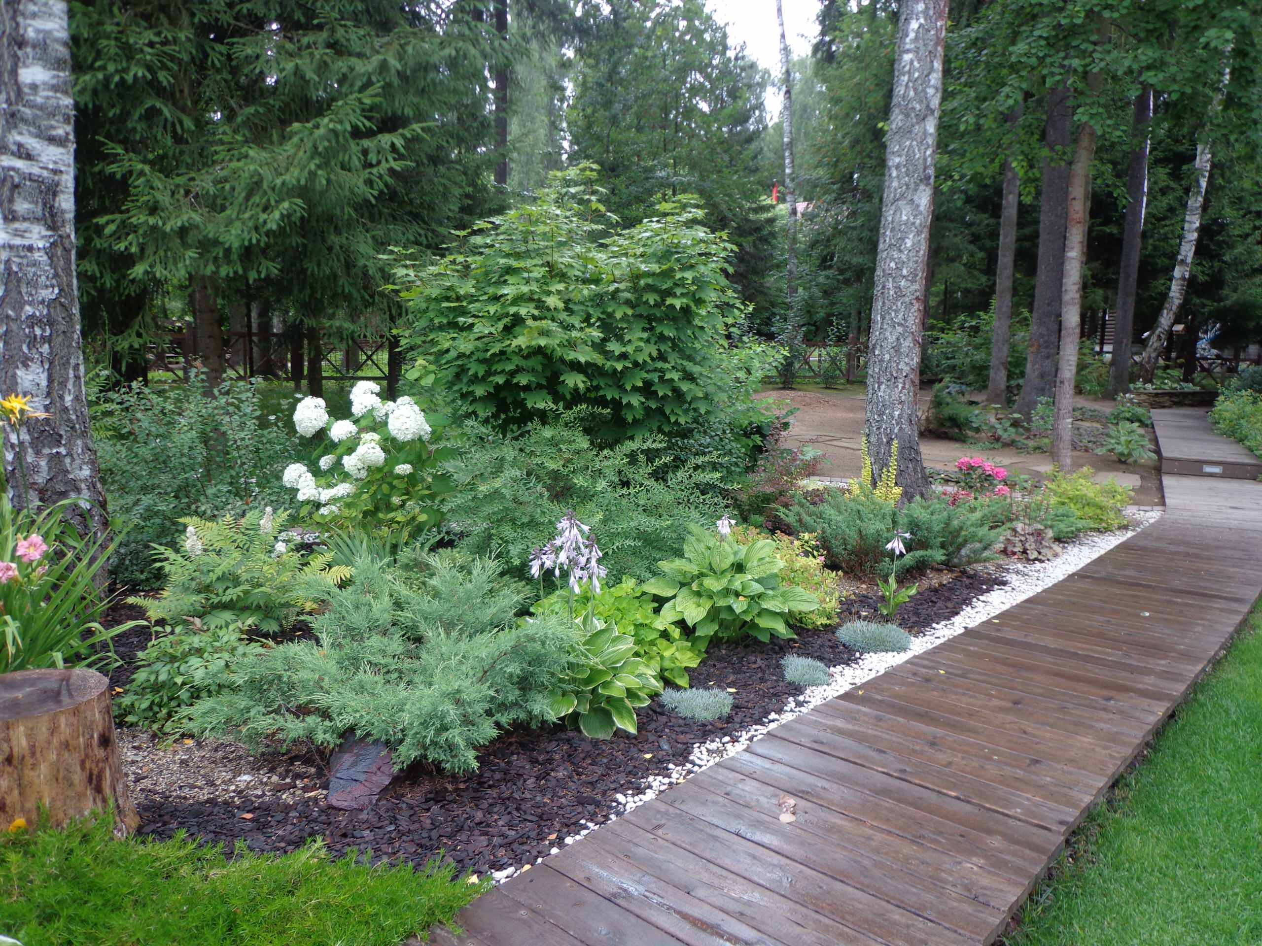 Земельный вопрос: Нужно ли покупать чернозем на участок