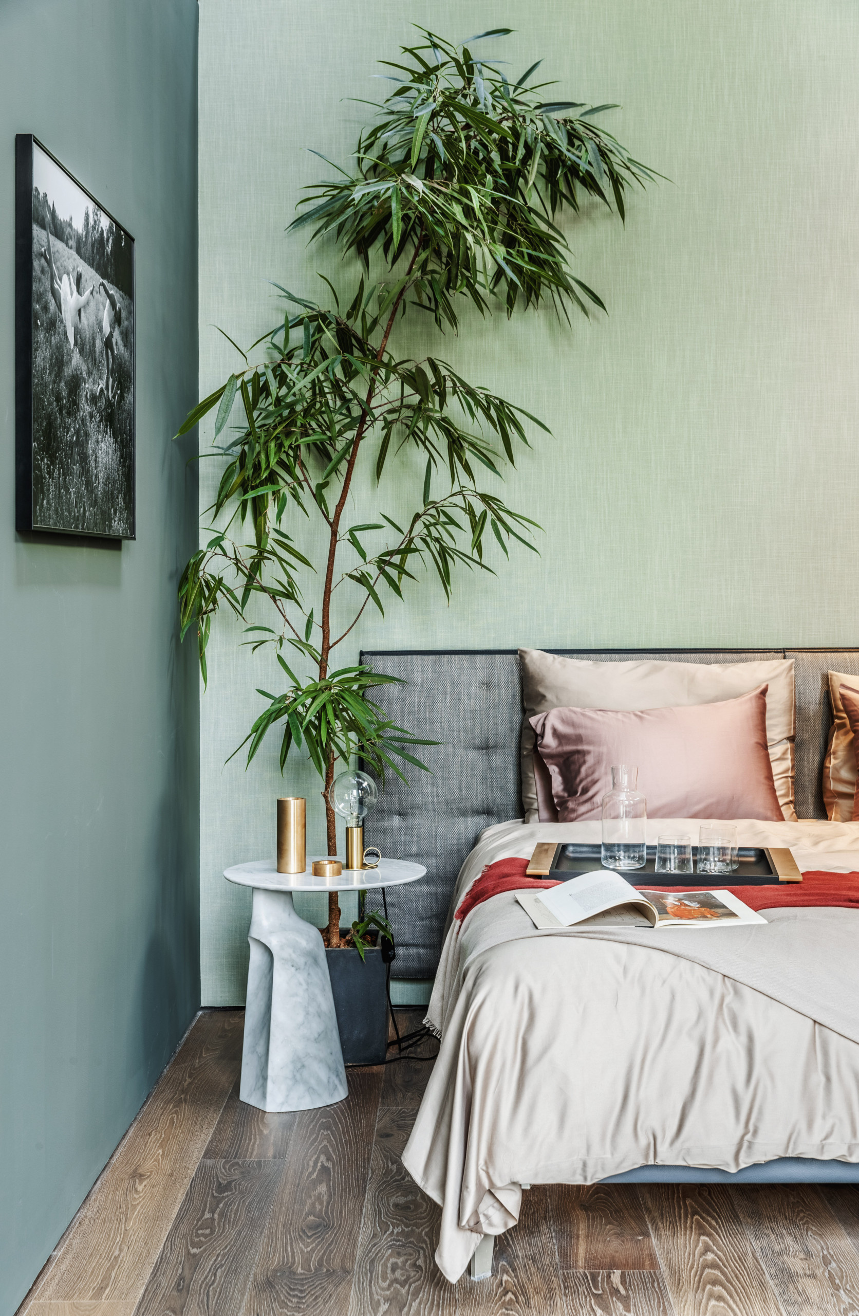 Тайный фэншуй: Какие растения в доме держать не стоит