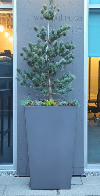 Вопрос: Сад, интерьер и зимний сад — как их связать воедино