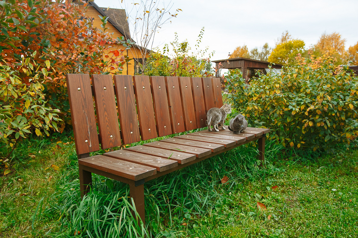 Проект недели: Пестрый сад в Рязанской области