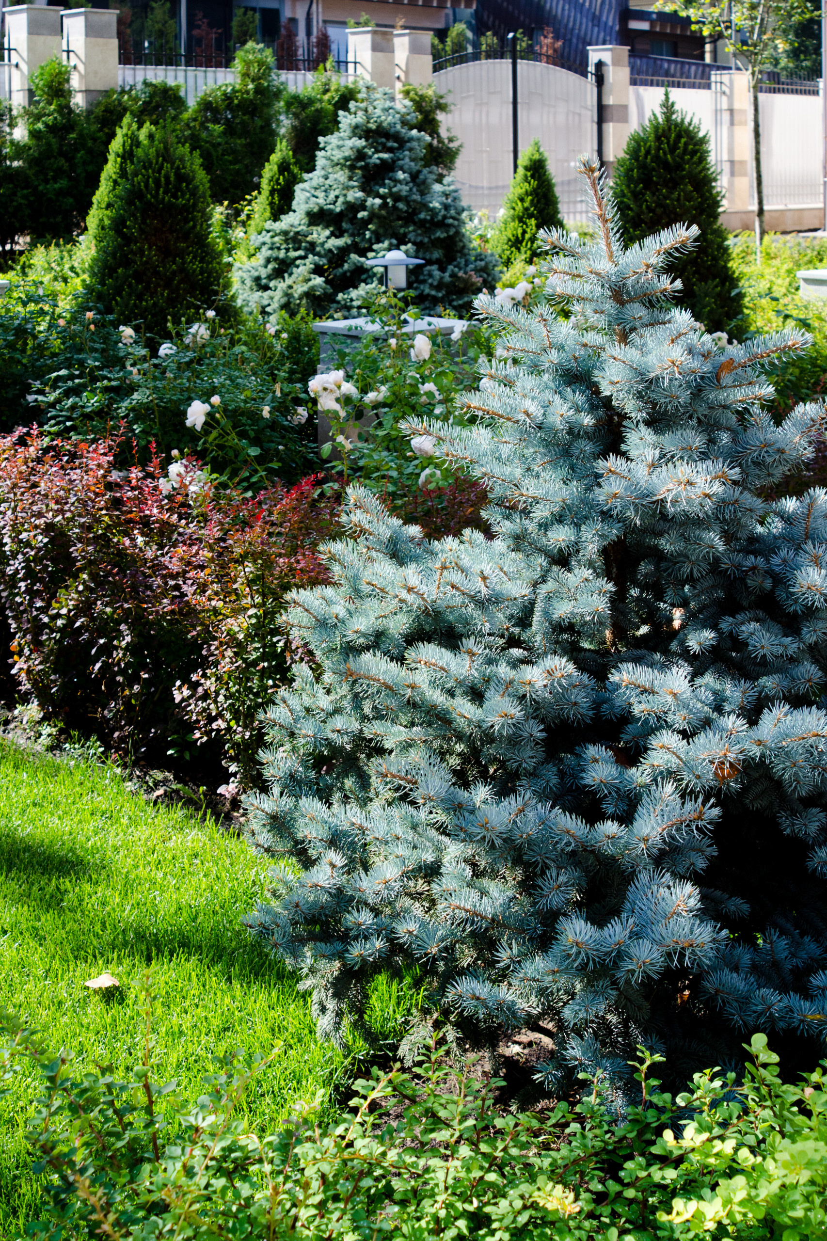 Проект недели: Регулярный и пейзажный сад на лесном участке