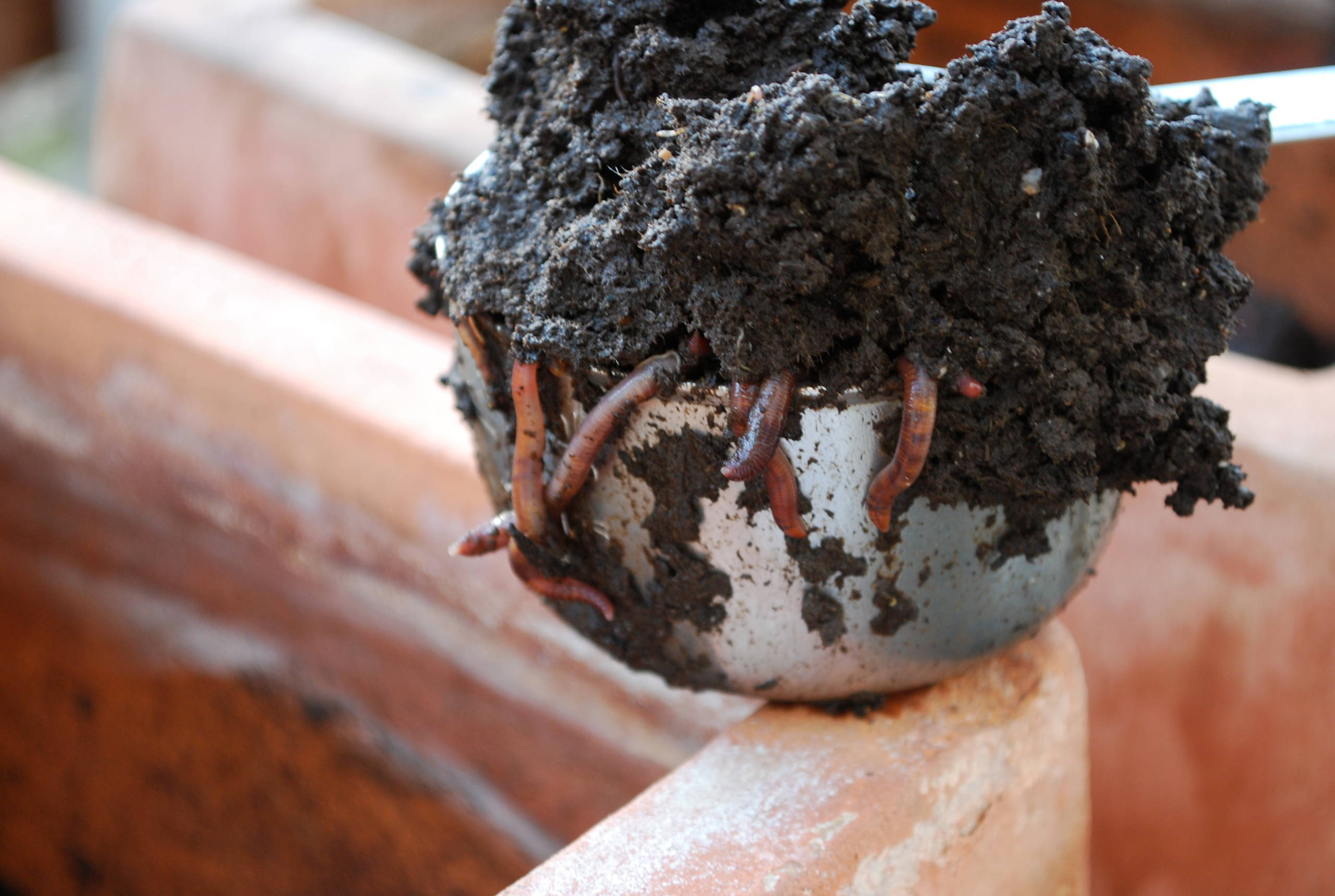 Хороший вопрос: Как сделать компост на даче и не перетрудиться