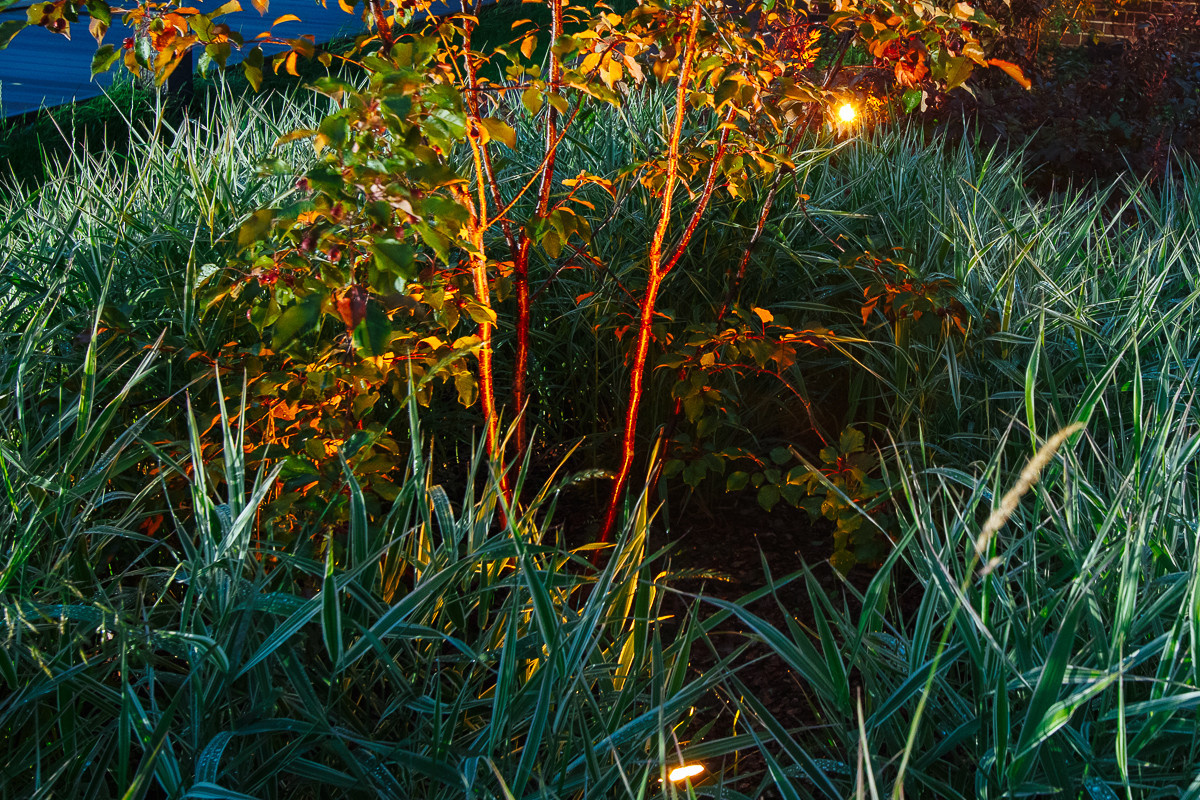 Проект недели: Три времени года в саду под Рязанью