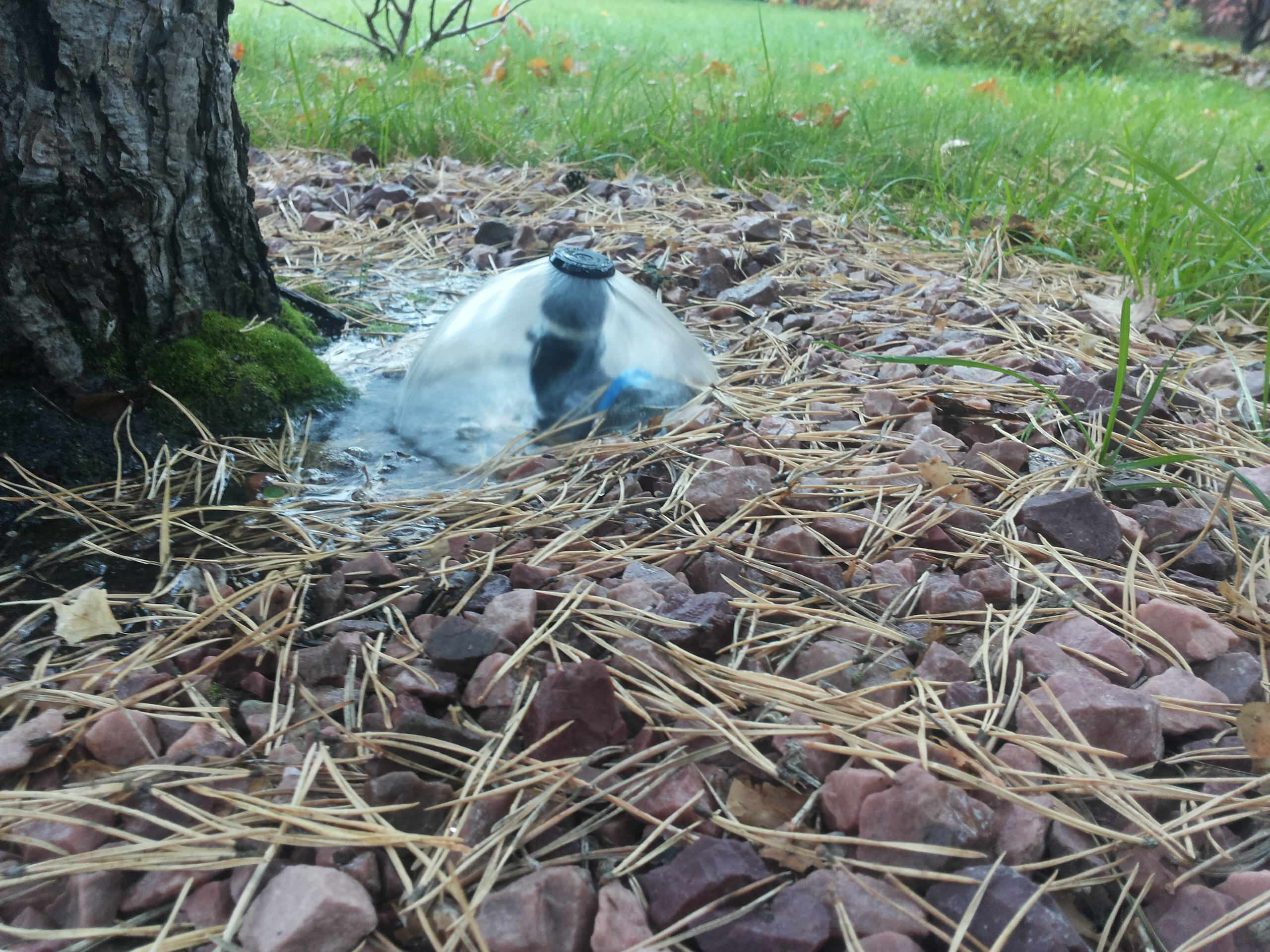 Вопрос: Как сделать автополив на участке