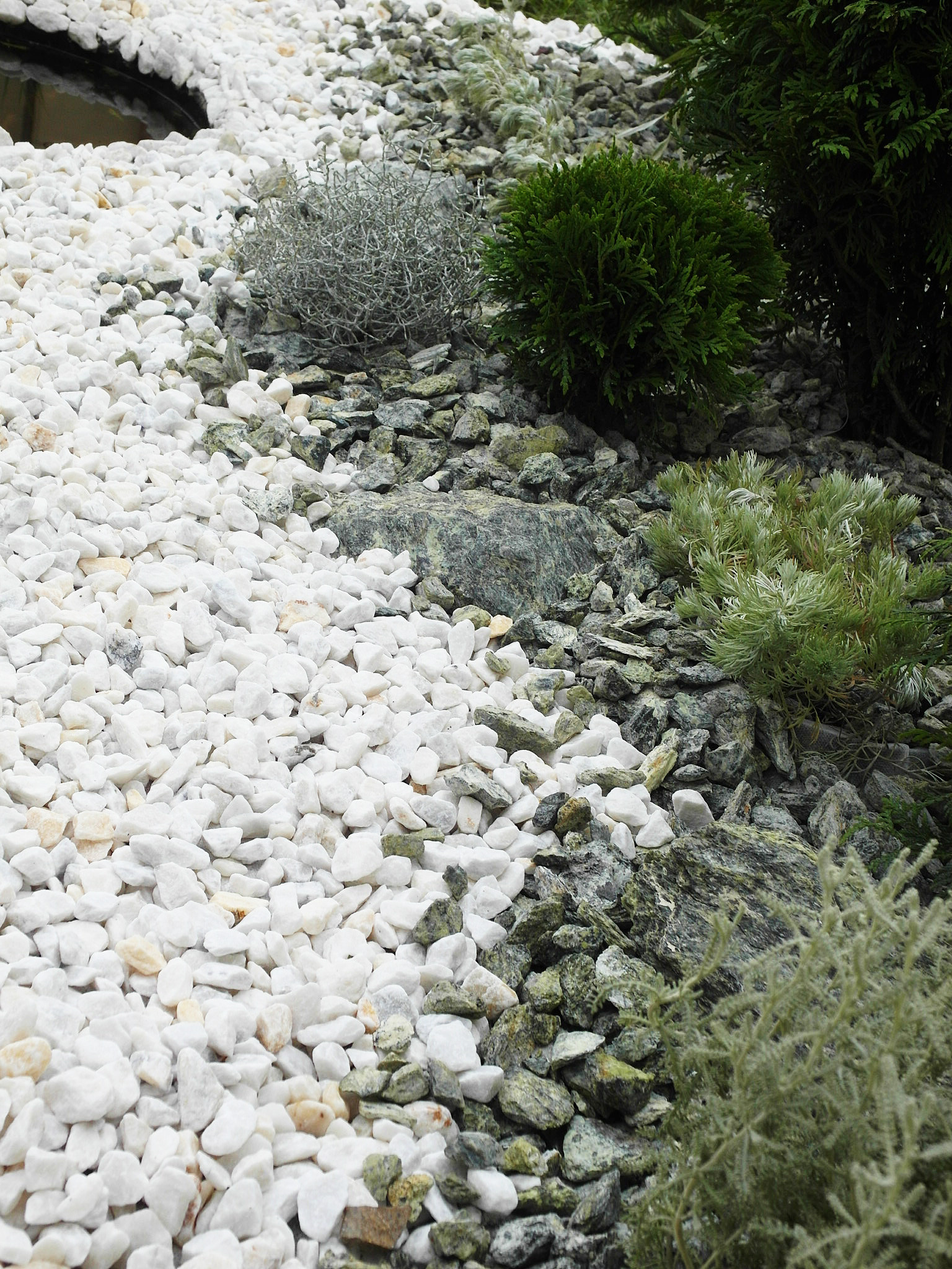 Что-то с чем-то: Как создавать композиции из растений